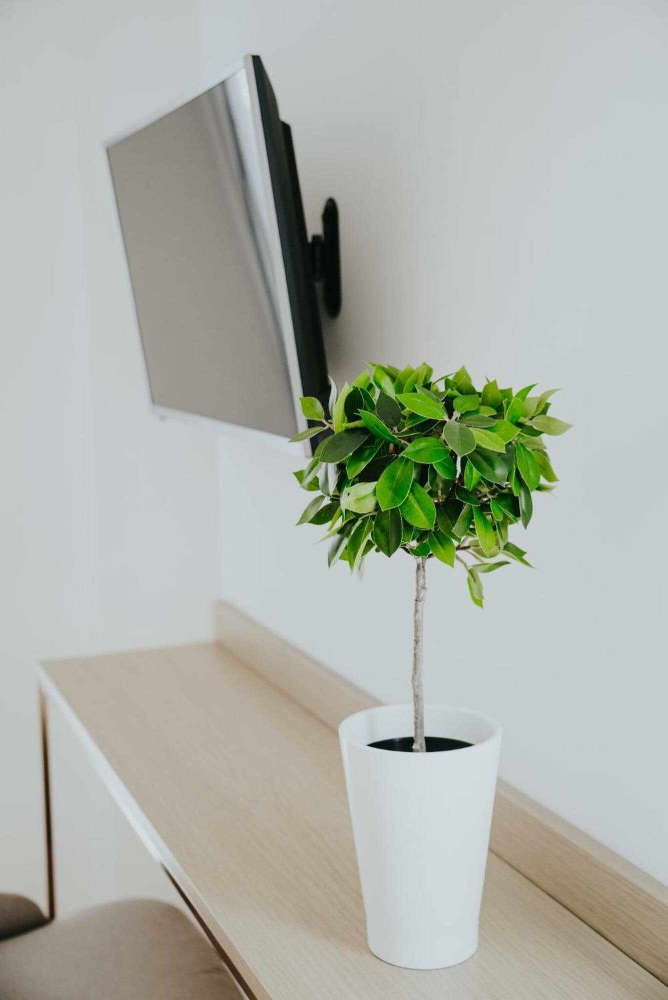 Фото Voulis Attico Rooms & Apartments