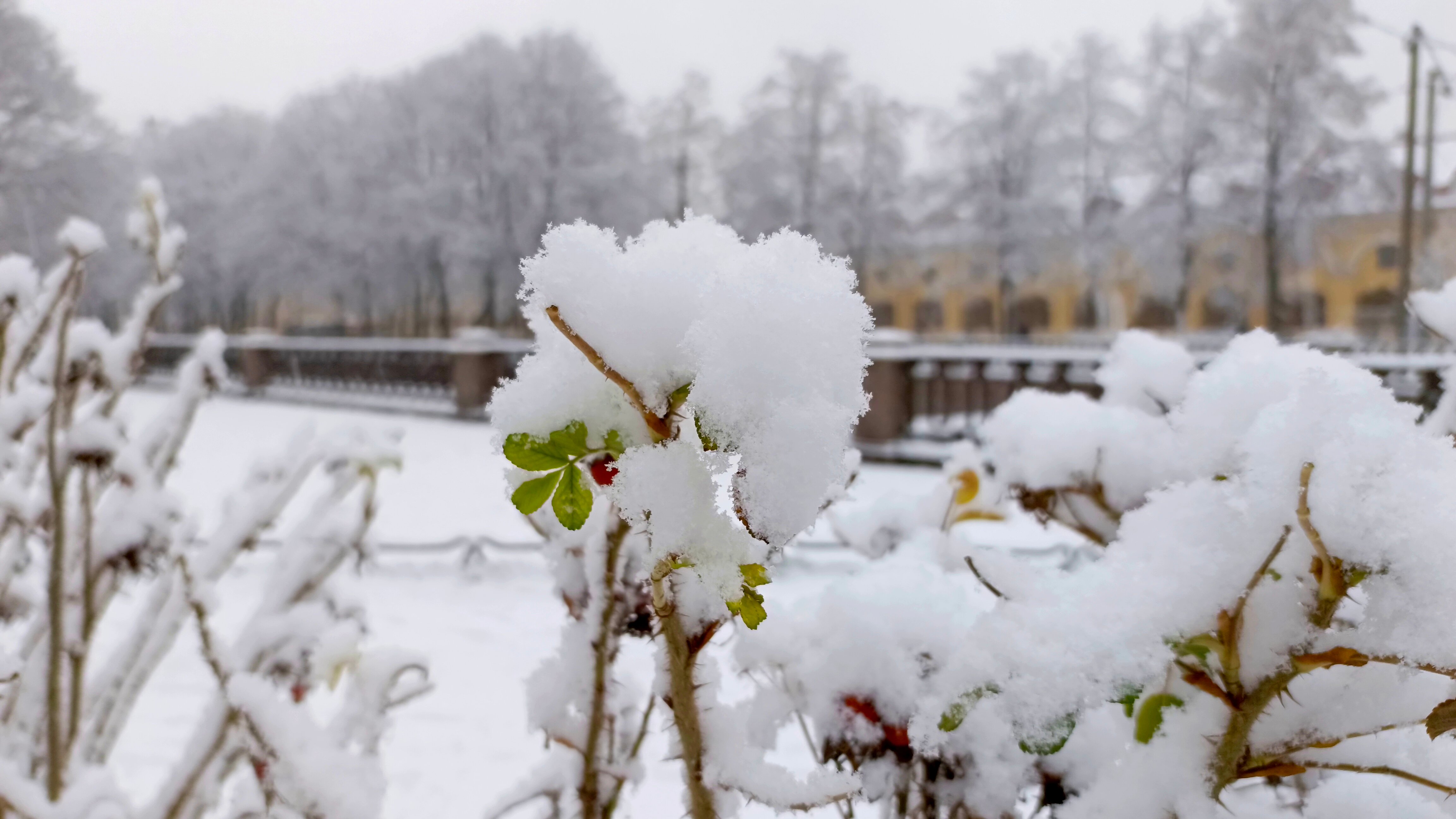 Фото Дом паломника