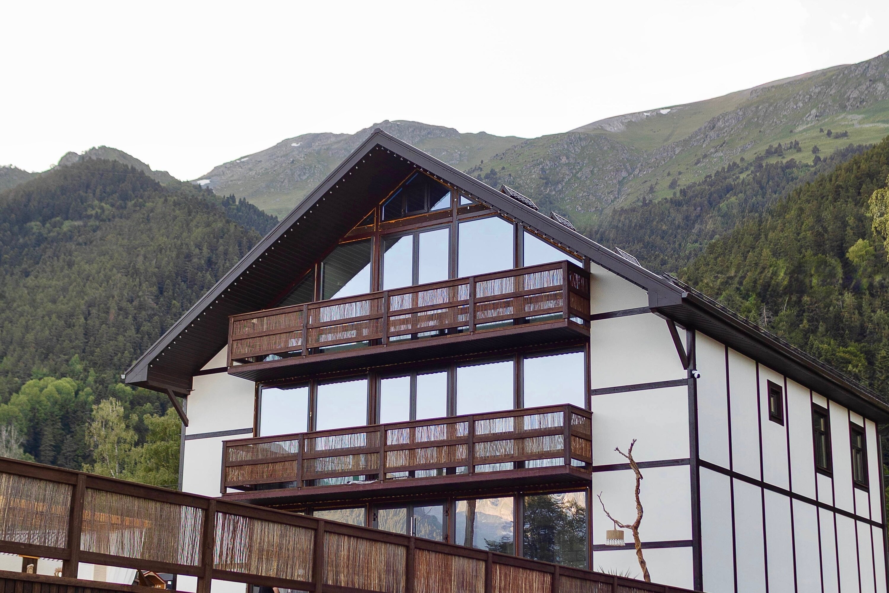 Фото Горная Роза