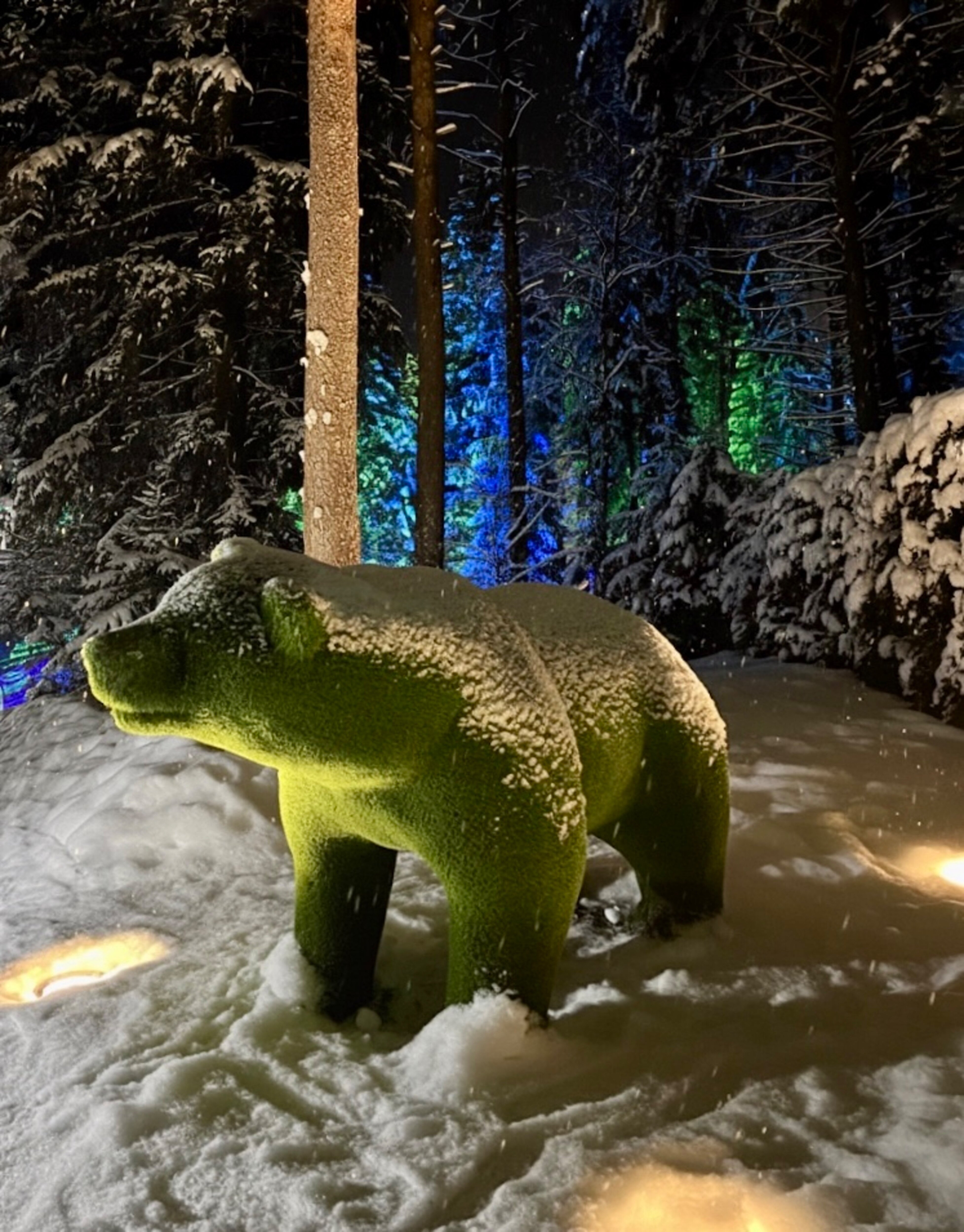 Фото Ваш образ жизни