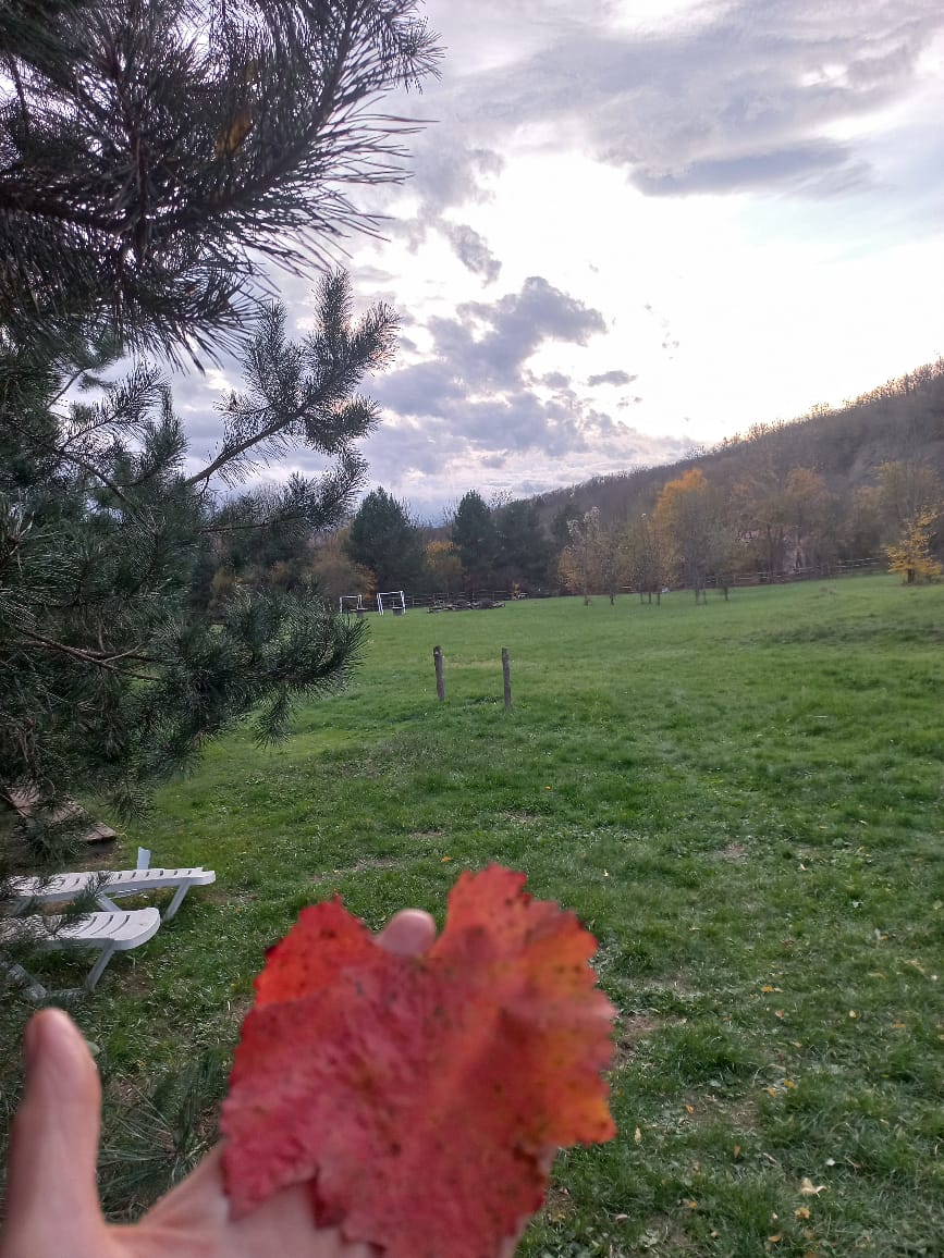 Фото Поляна Убинская