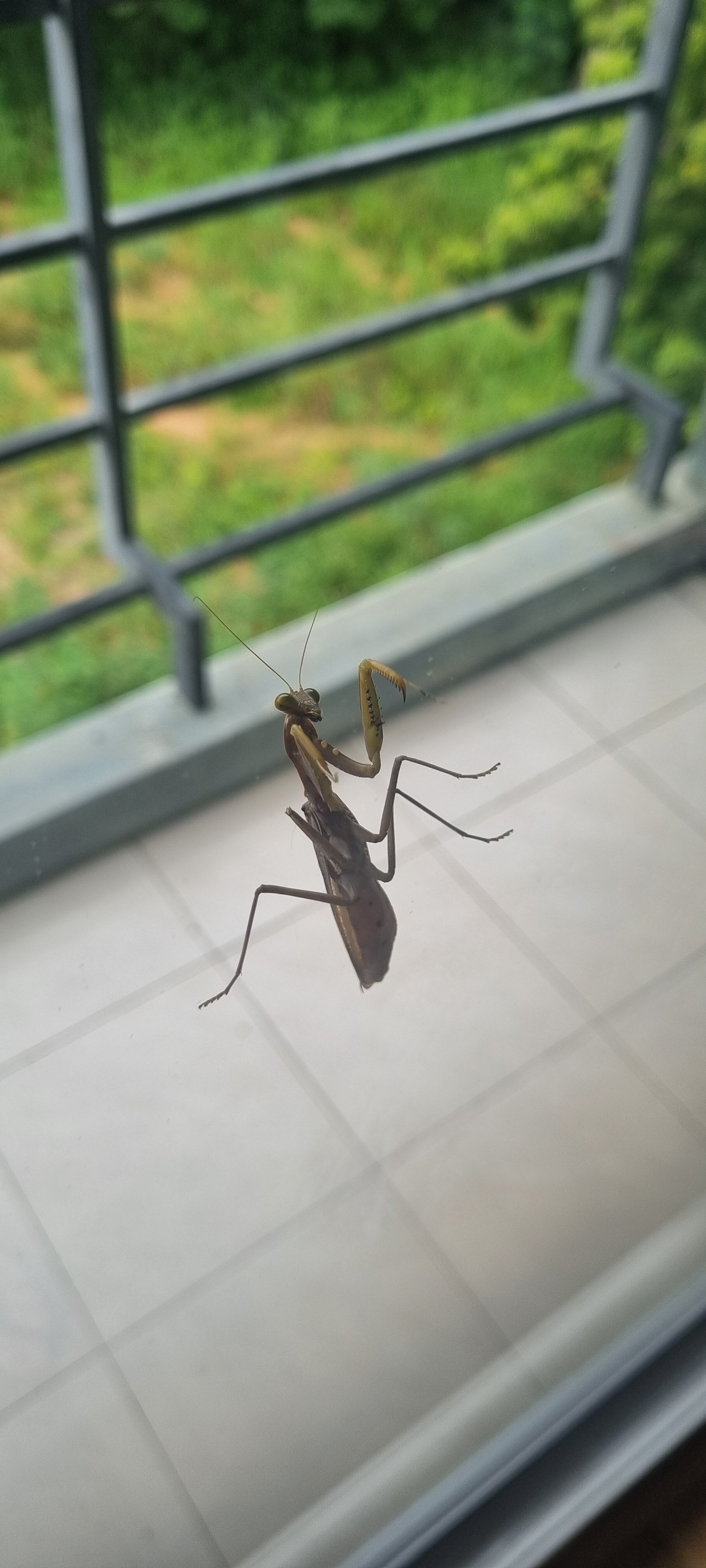 Фото Manita Boutique Hotel