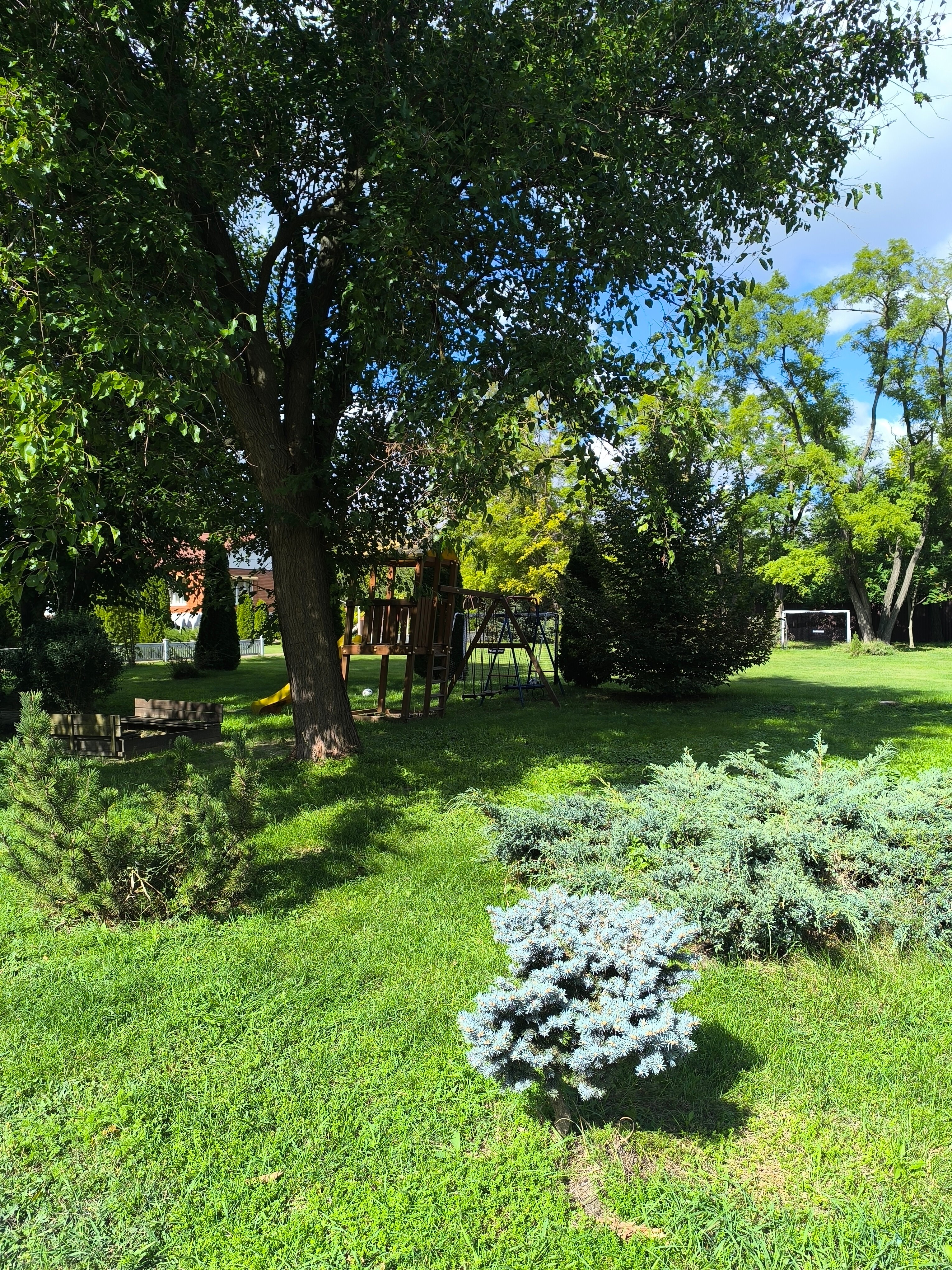 Фото Верано