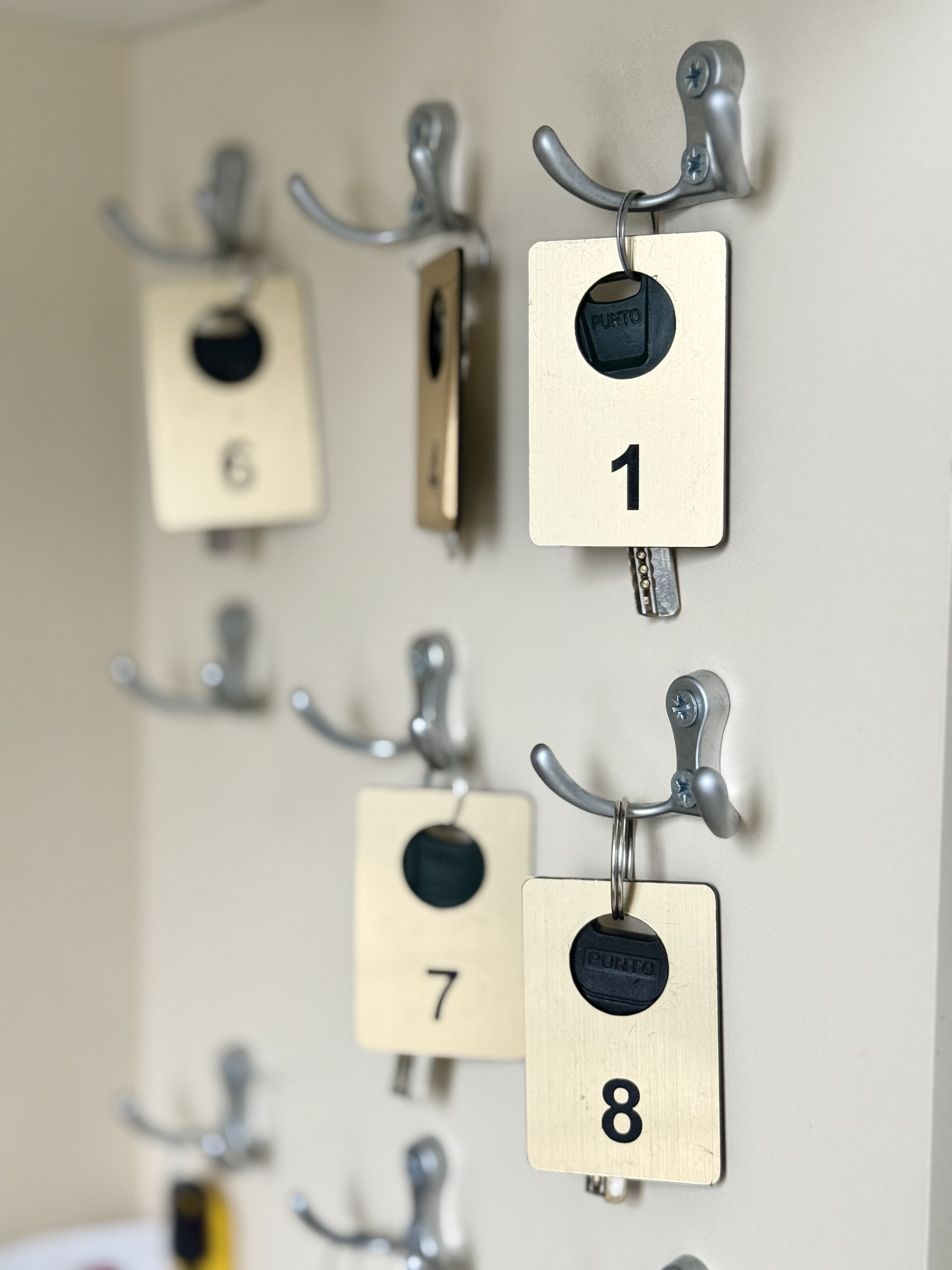 Фото Медуза