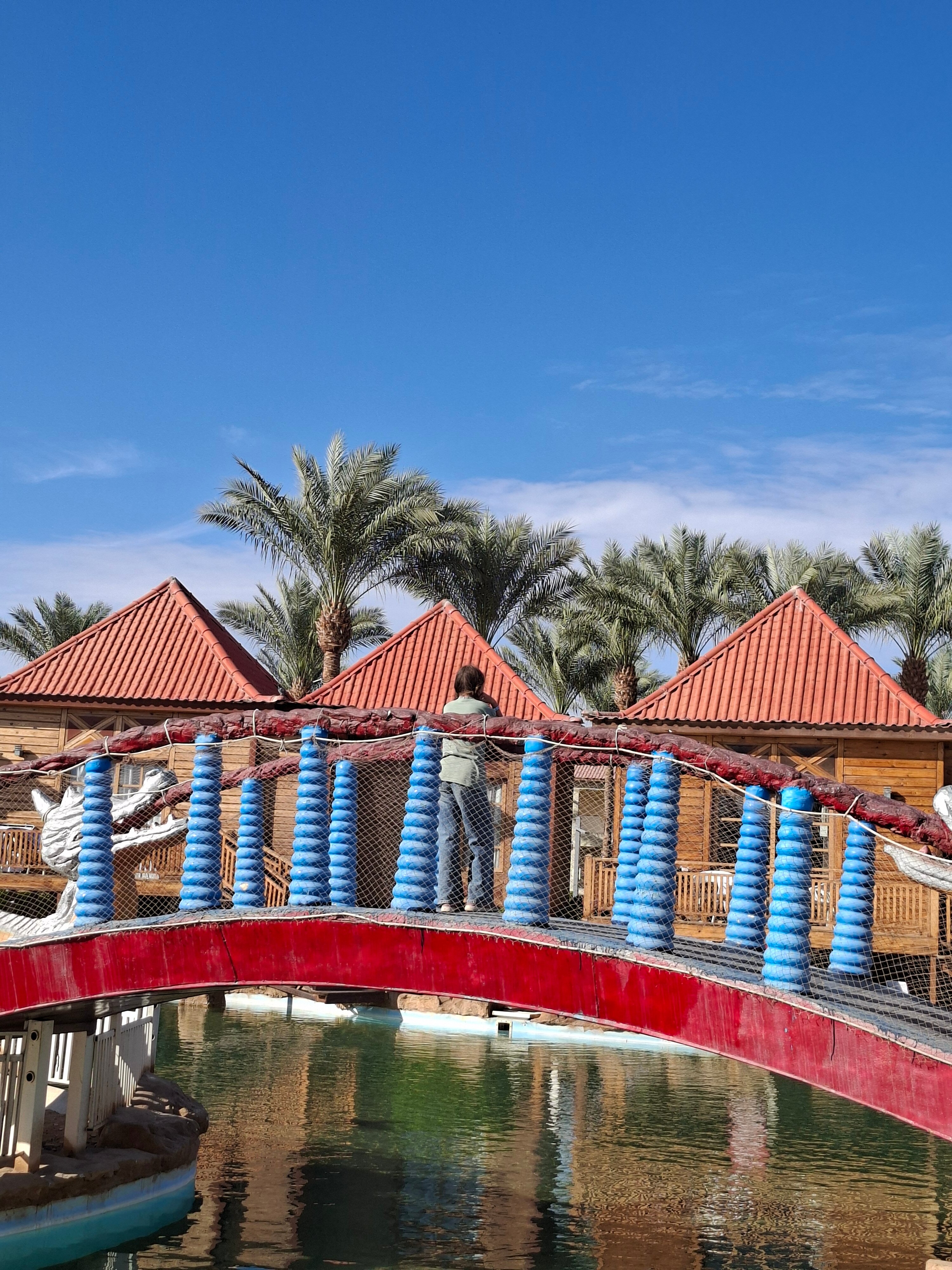 Фото Pickalbatros Aqua Blu Sharm El Sheikh