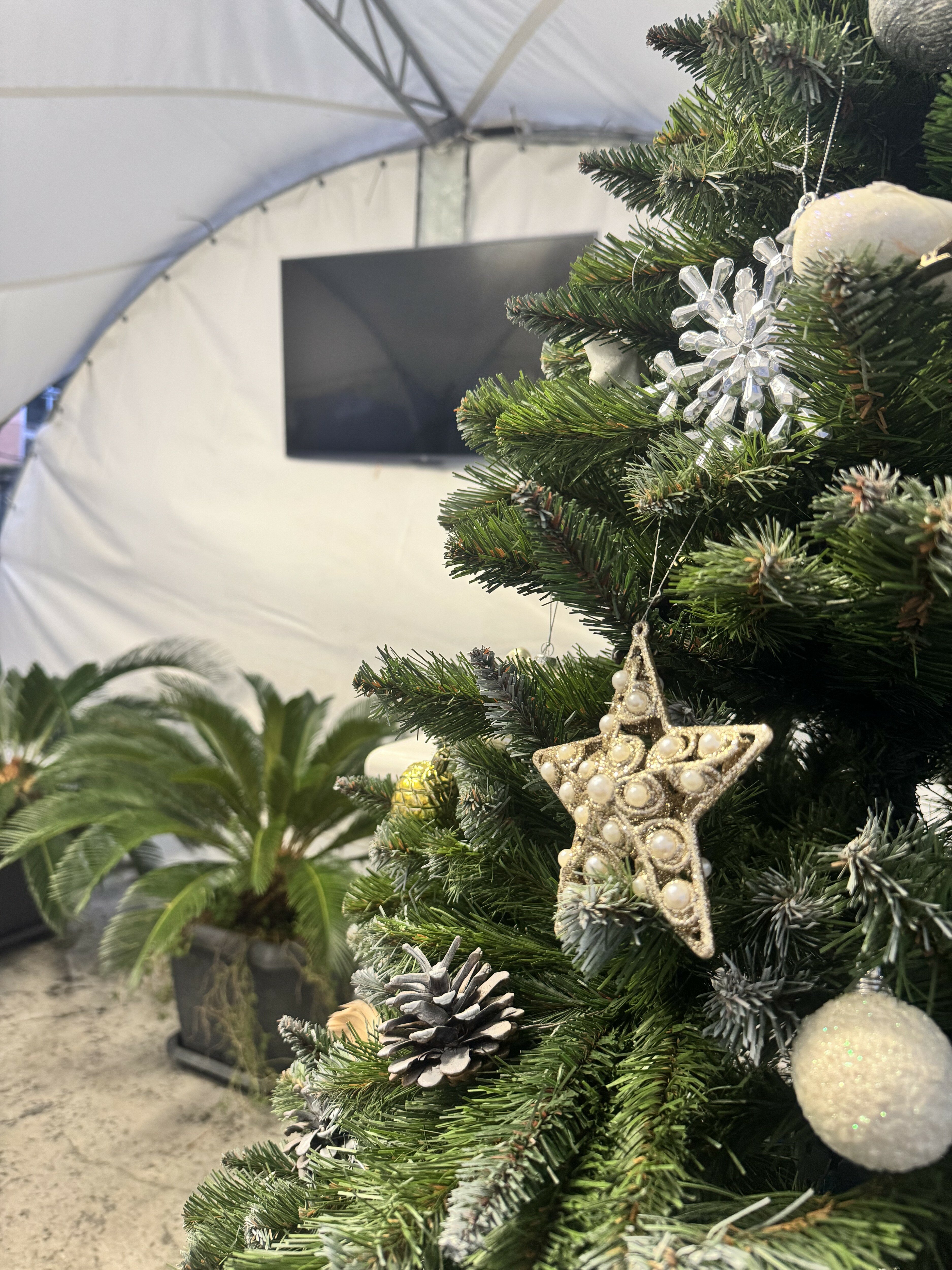 Фото Ла Вилла