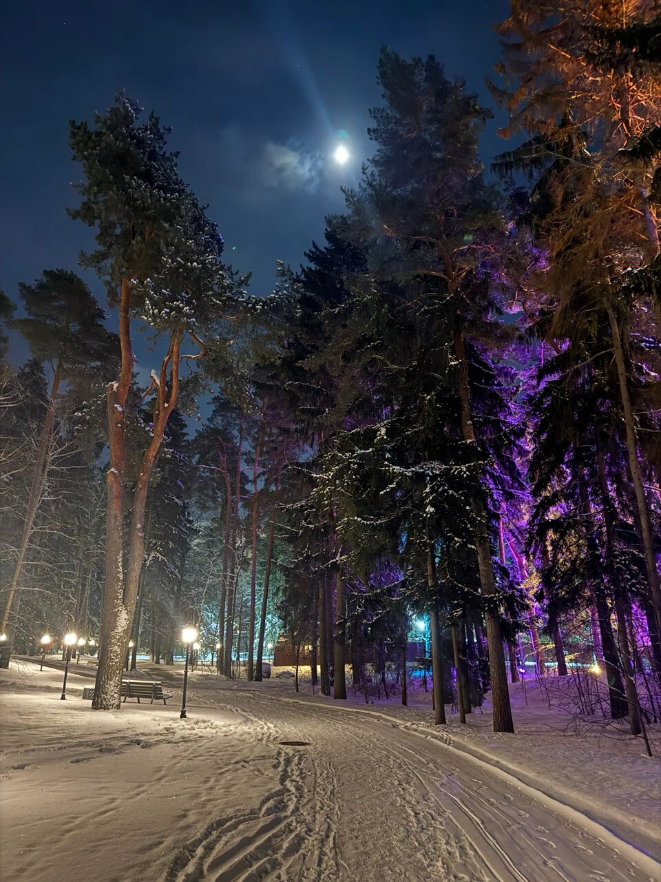 Фото Репино Парк Отель