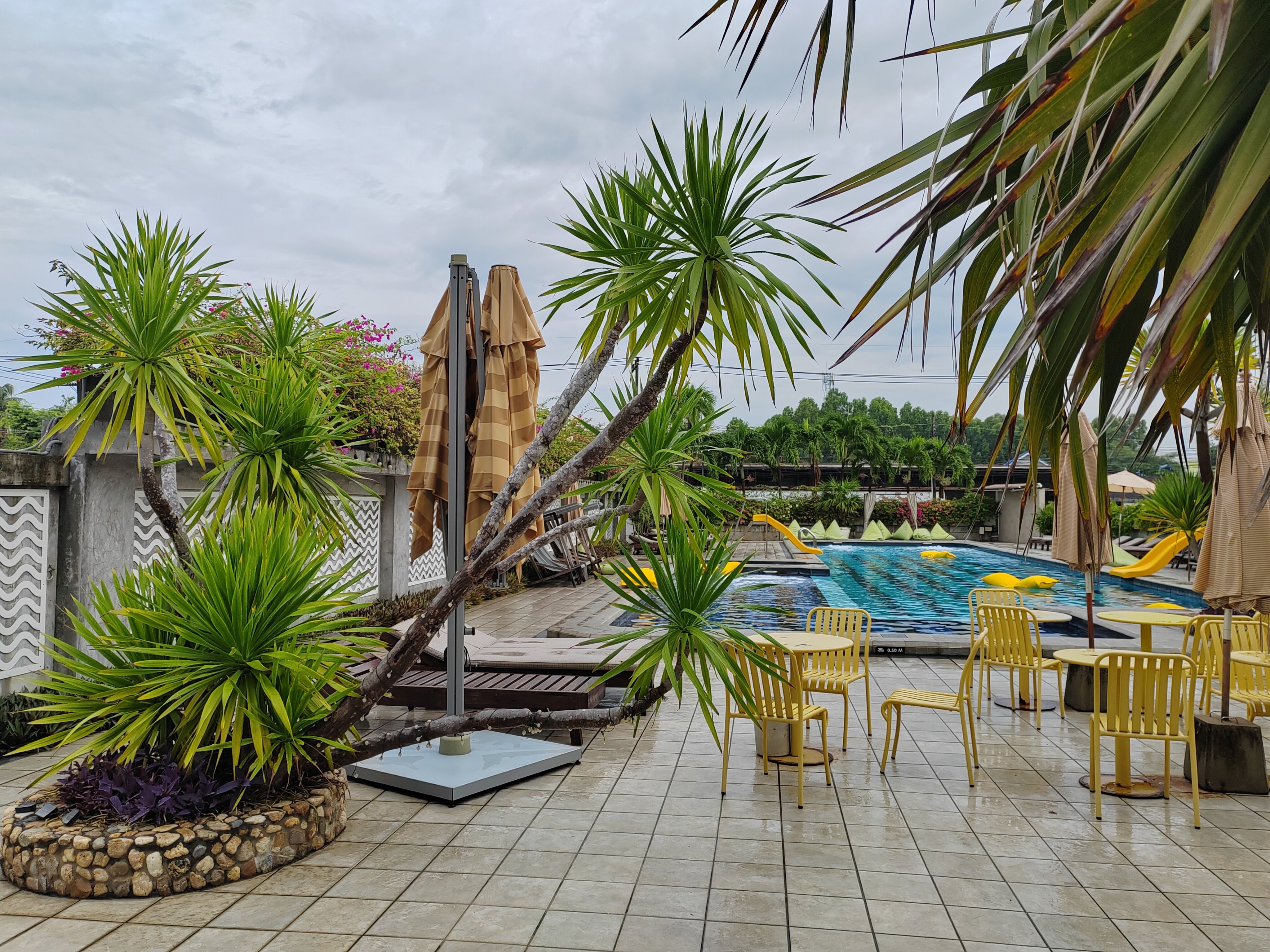 Фото The Mangrove Hotel