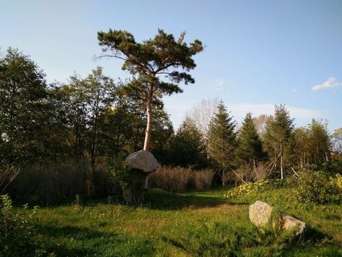 Гостиница Xilaibin Hotel в Гирине