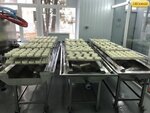 Gigamash (Opytnoye Pole Settlement, с1), food processing equipment