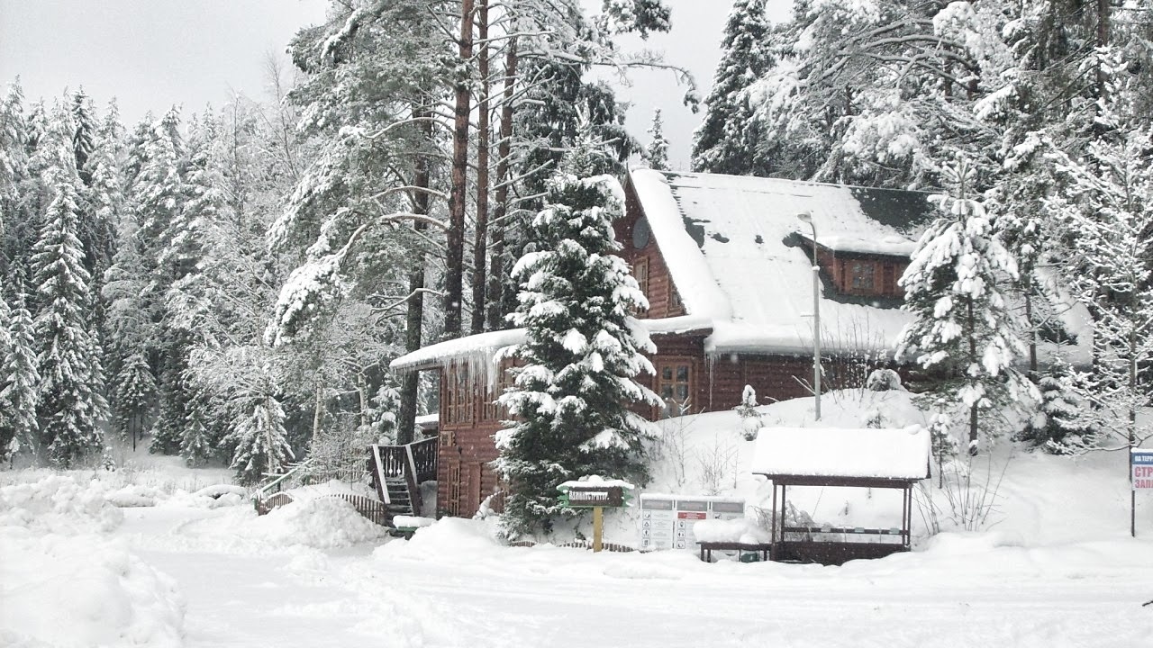 Фото База отдыха Клёвое место