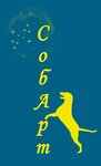 СобАрт (ulitsa Chernyshevskogo, 11), zoo center