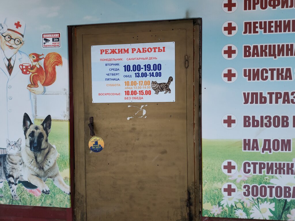 Veteriner klinikleri Doktor Aybolit, veterinarnaya klinika, IP Akmurzin Ye. M., Neftekamsk, foto