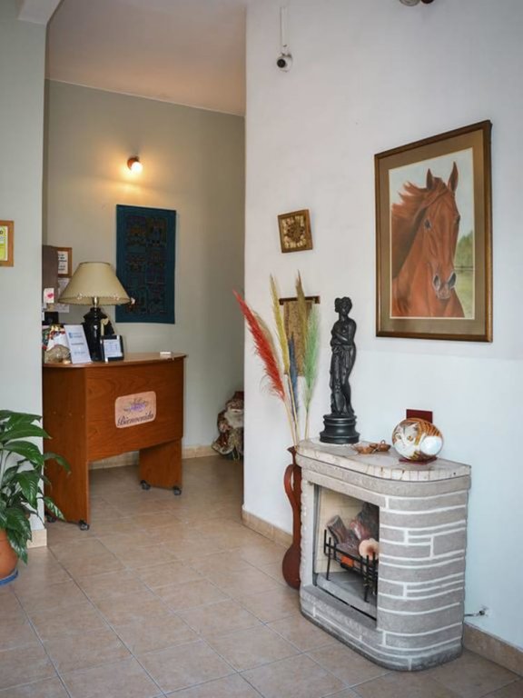 Фото Sayta Hostal