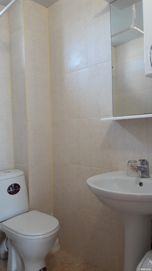 Фото Фортуна