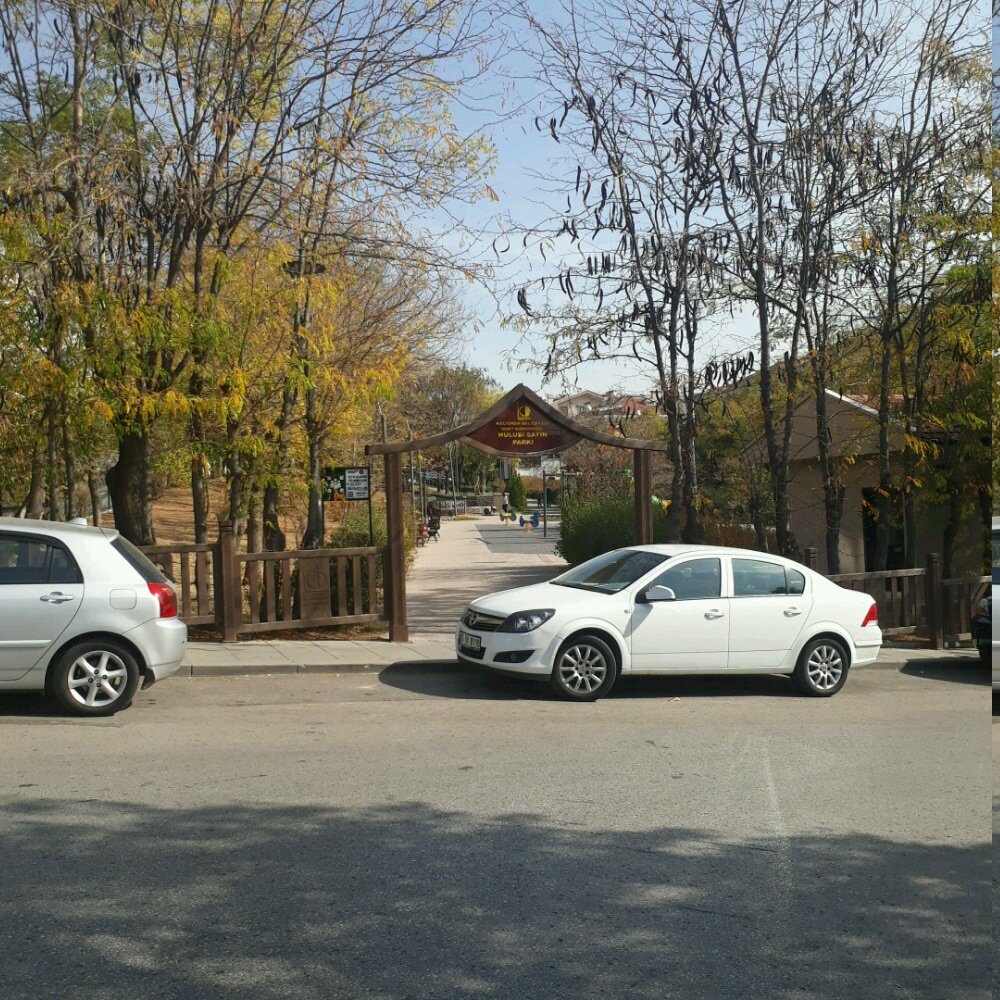 Urban forest Martyr General Hulusi Sayin Park, Ankara, photo