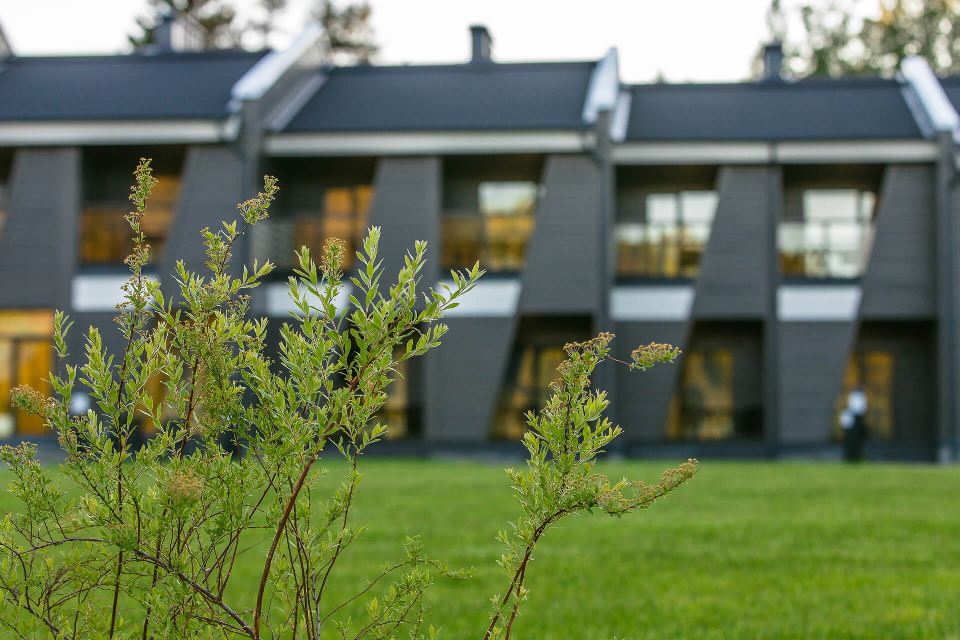 Фото Точка на карте Сортавала