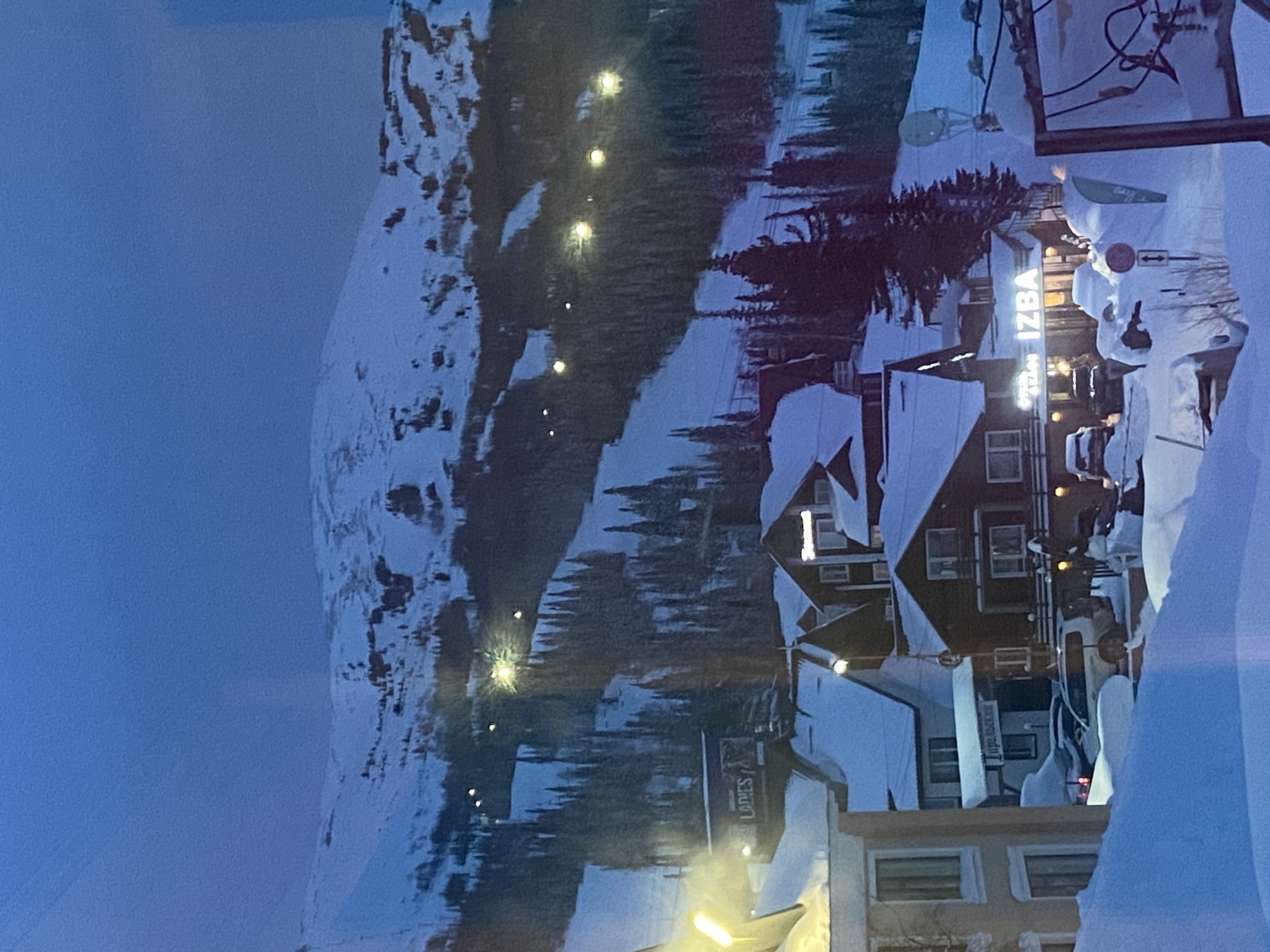 Фото Медведица