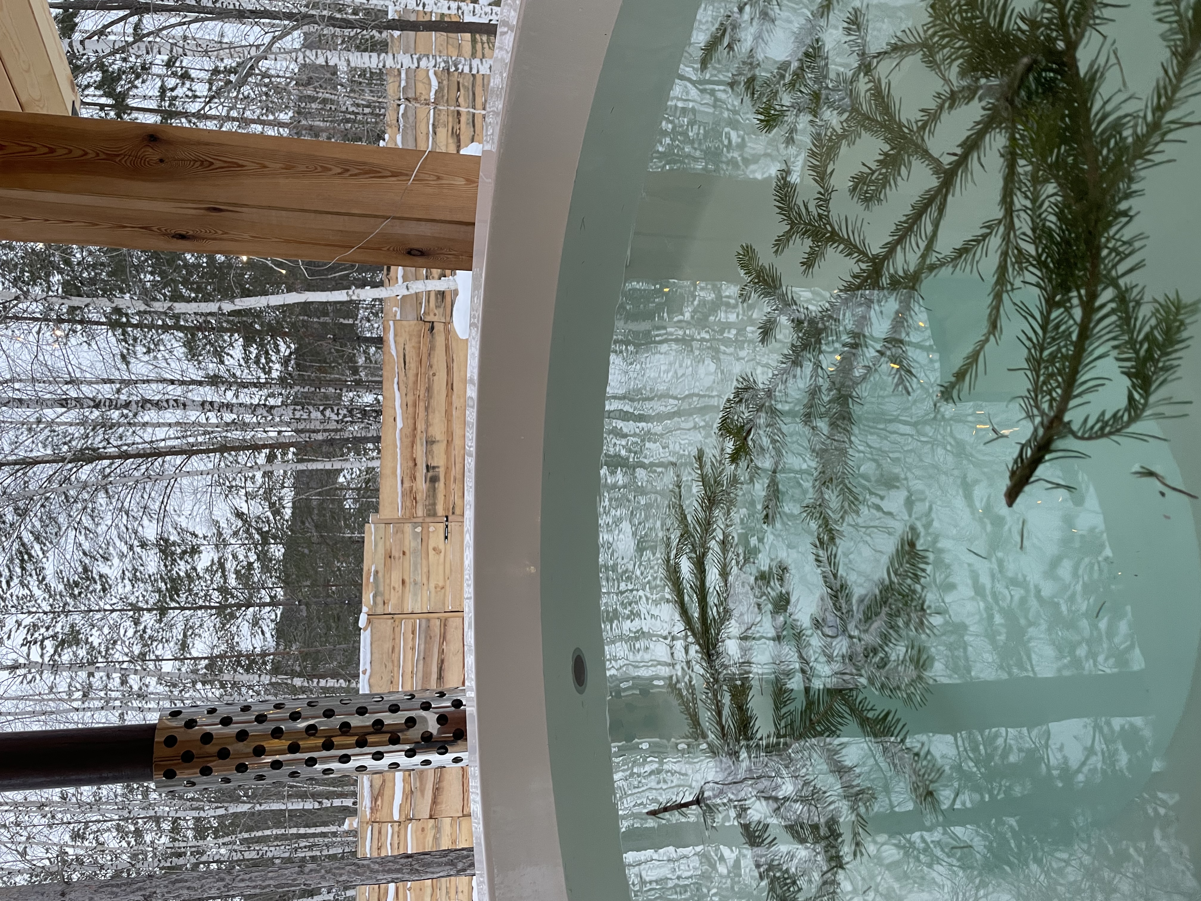 Фото Forest tale