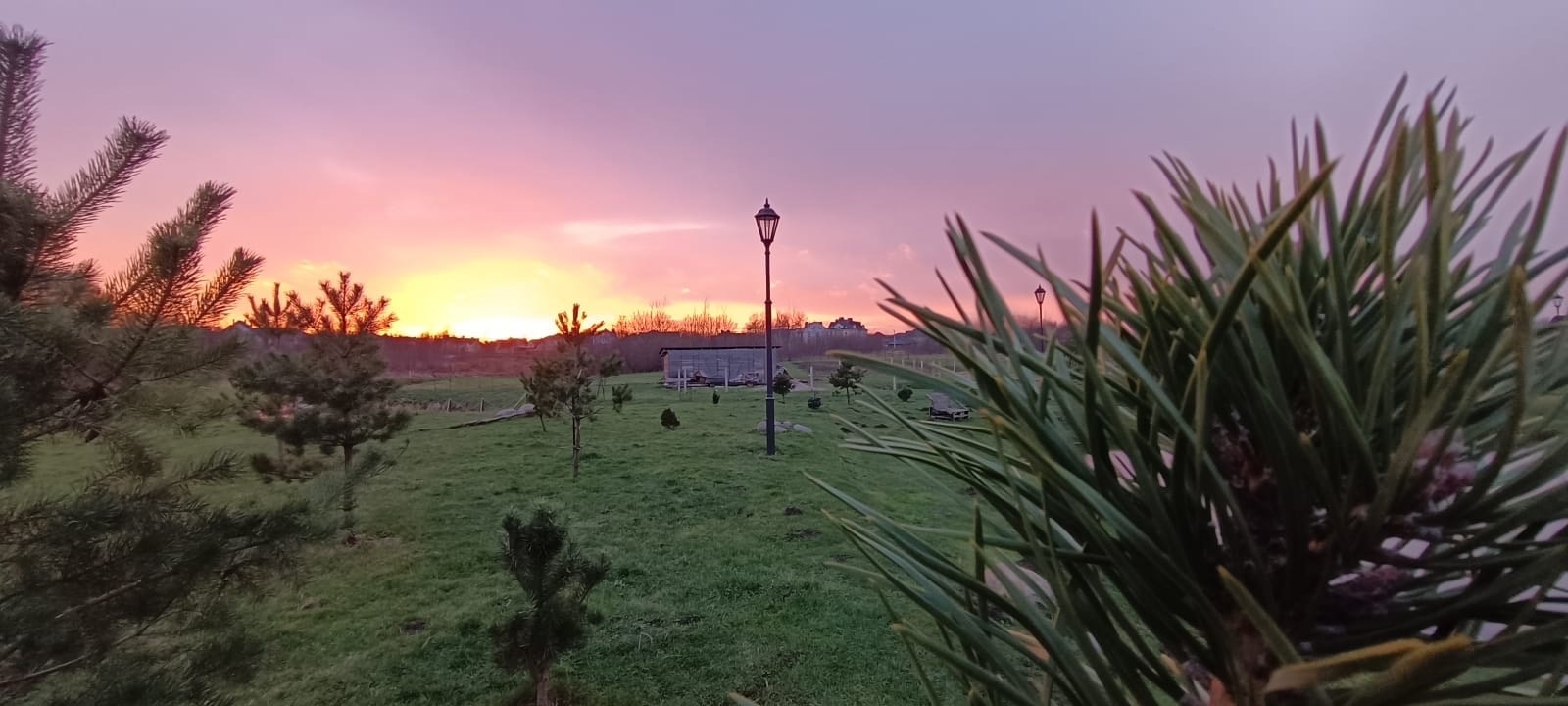 Фото Альфа Гарден