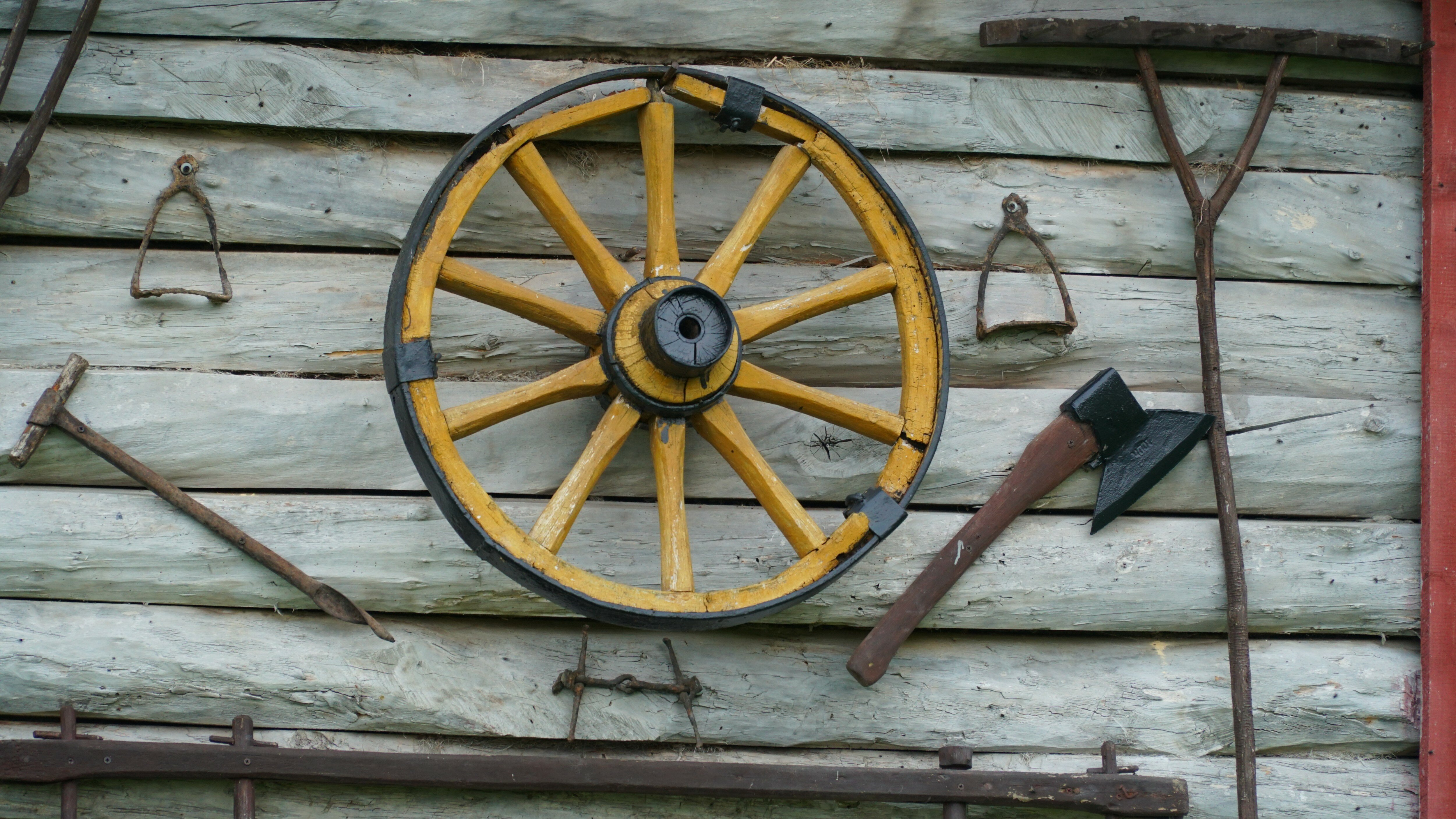 Фото Снежный Барс