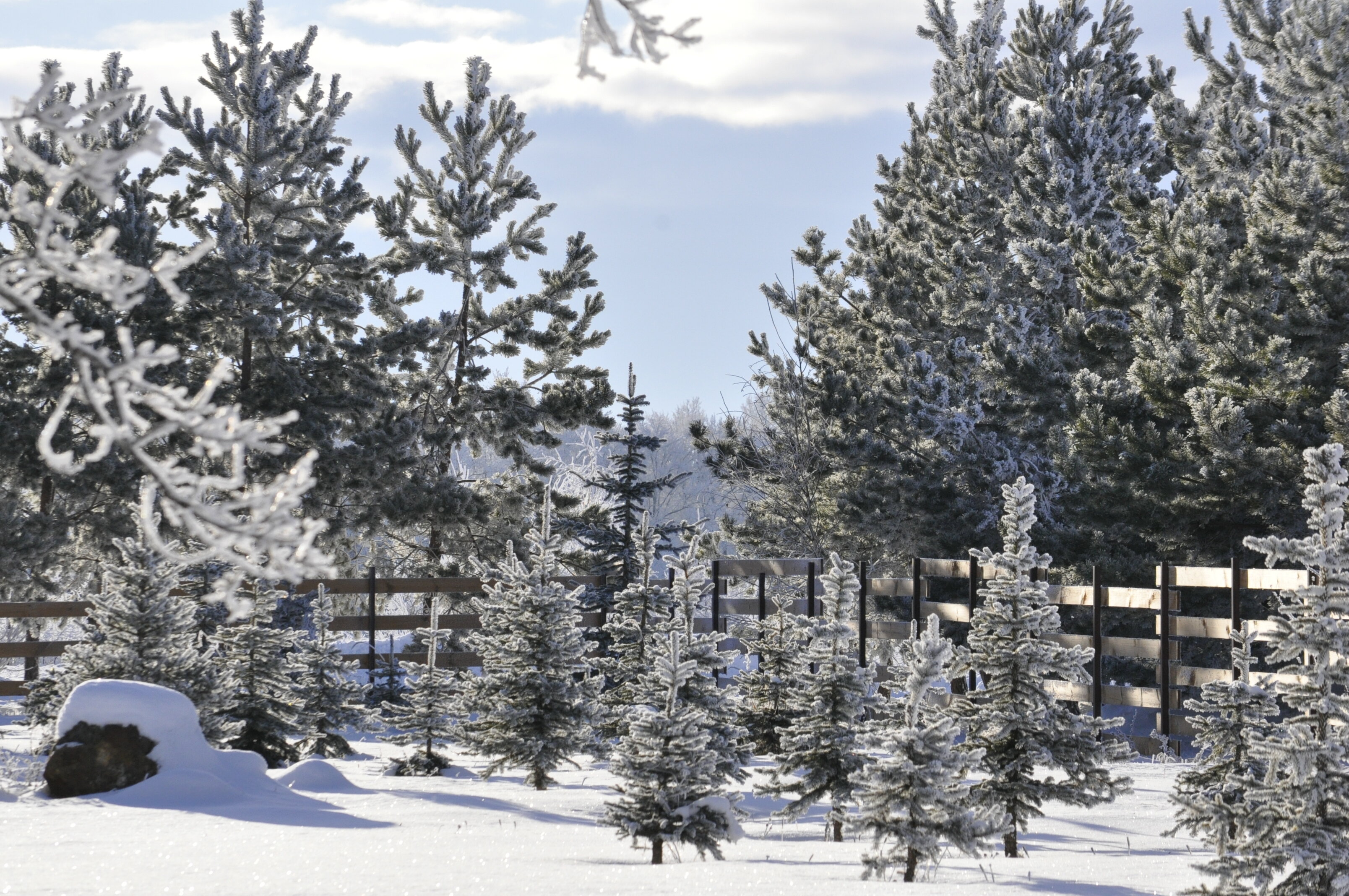 Фото Станица