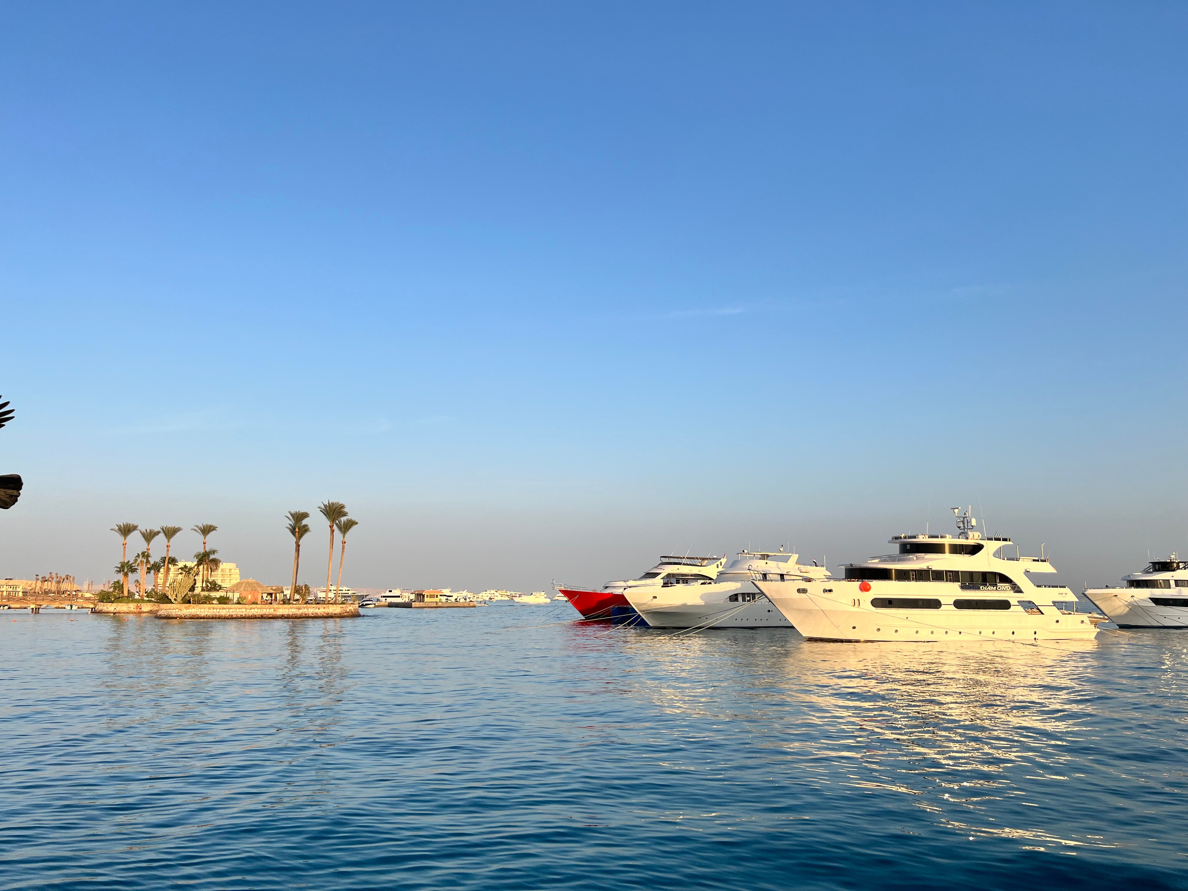 Фото Elysees Dream Beach Hotel
