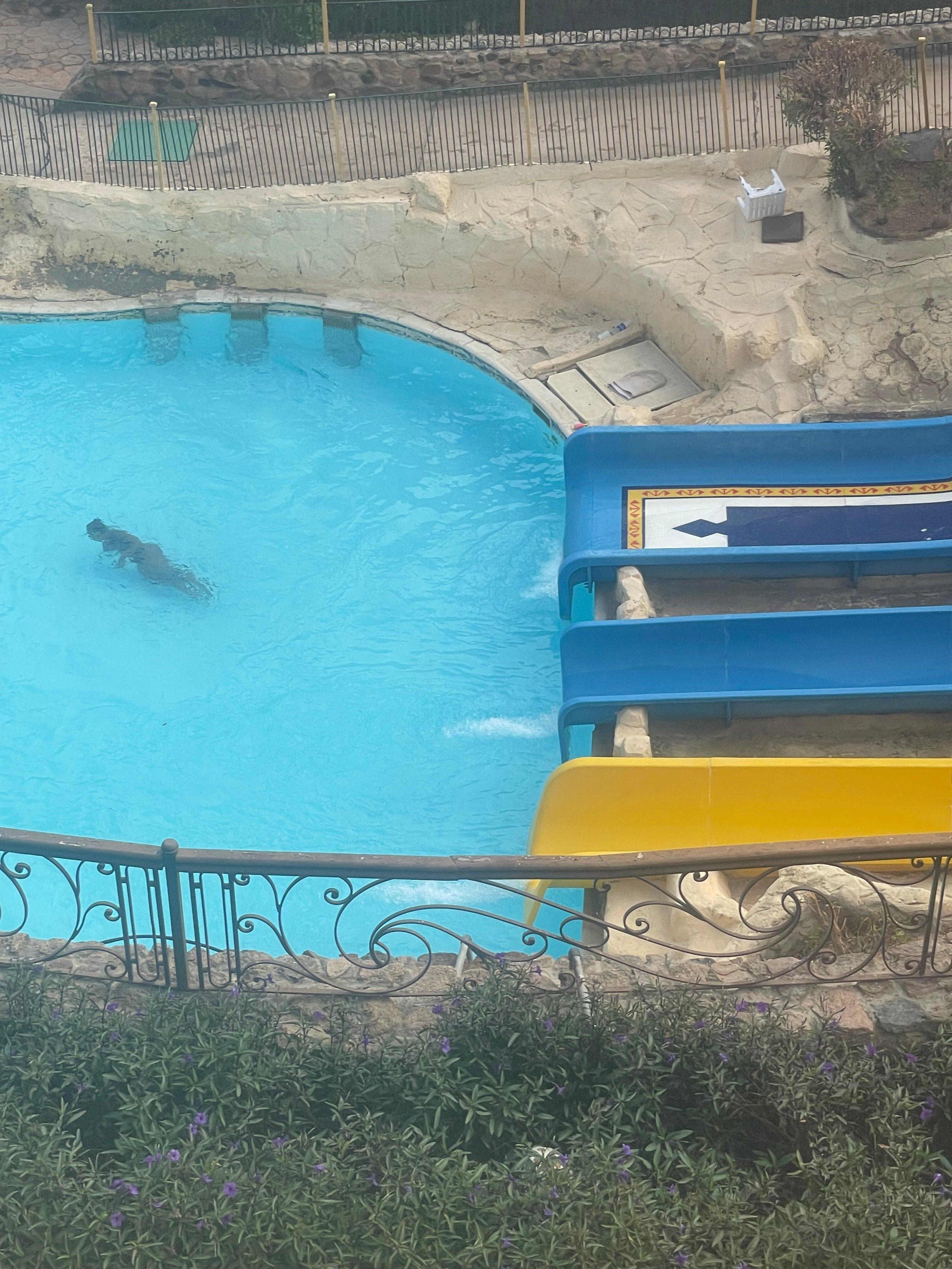 Фото Rehana Royal Beach Resort - Aquapark & SPA