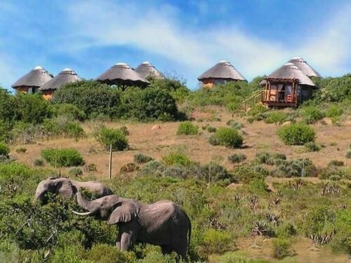 Внешний вид отеля Garden Route Game Lodge в Джордже, фото 2