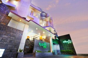 отель Hotel Pyrenees