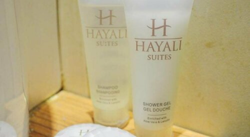 Гостиница Hayali Suites в Джунии