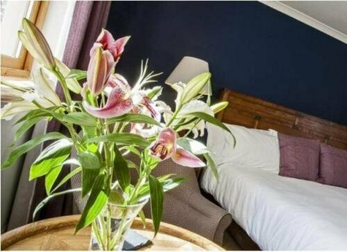 Гостиница Sutherlands Guest House в Кингасси