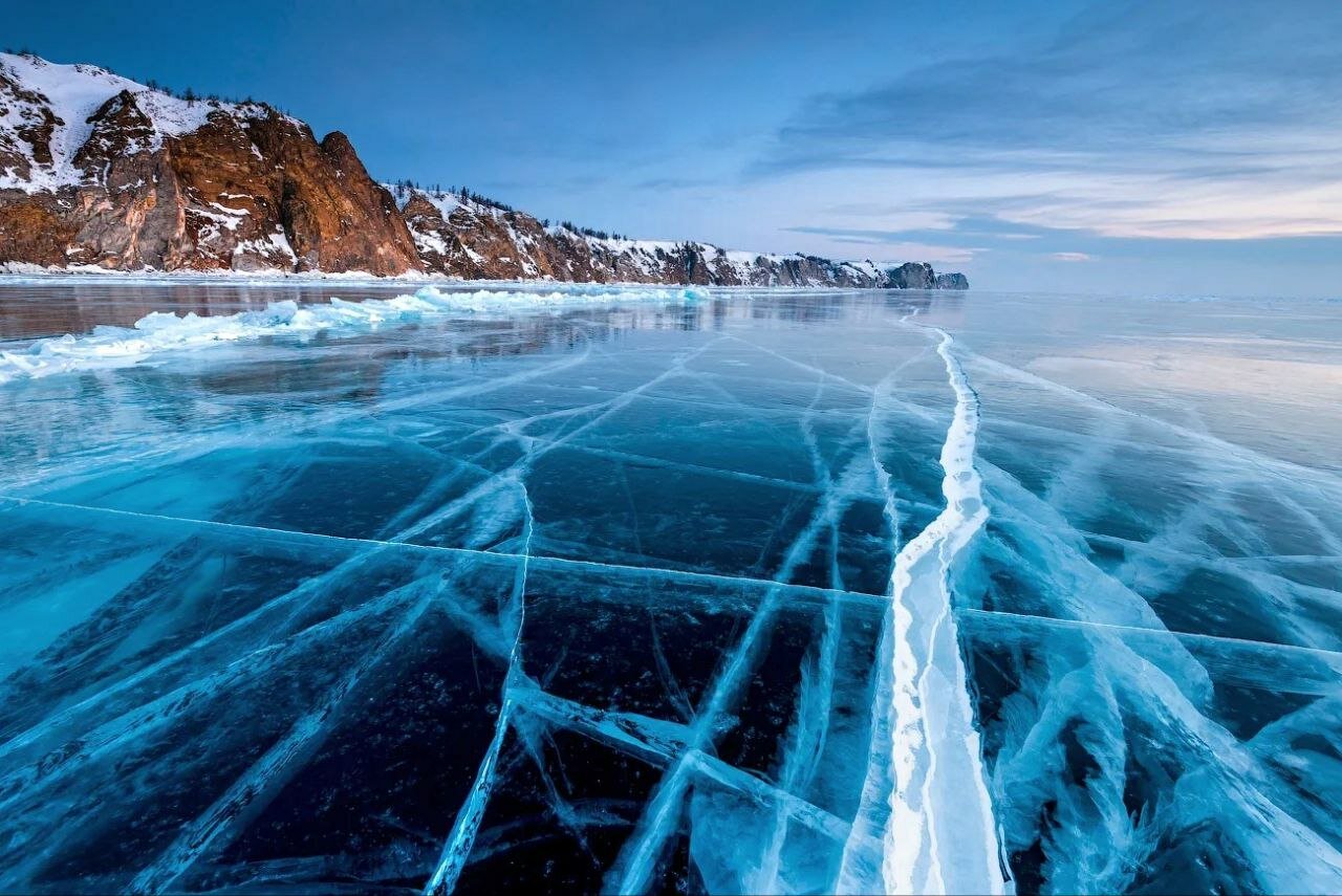 Фото Лесная стая