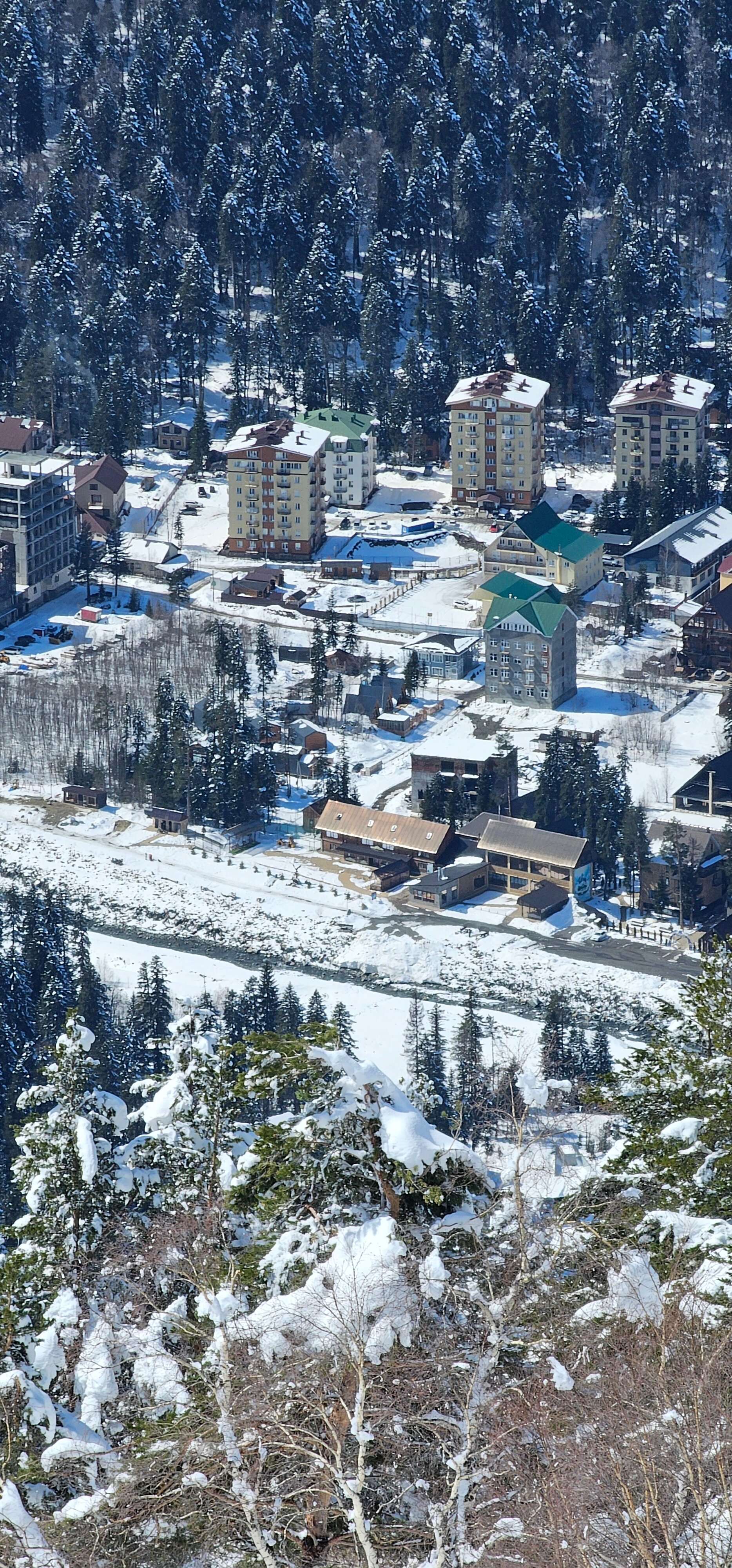 Фото Домик в лесу