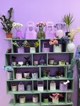 The Bloom Room (Razyezzhaya Street, 42/34), floristeria