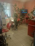 Парикмахерская Елены Царёвой (derevnya Zolotilovo, 65А), salón de belleza