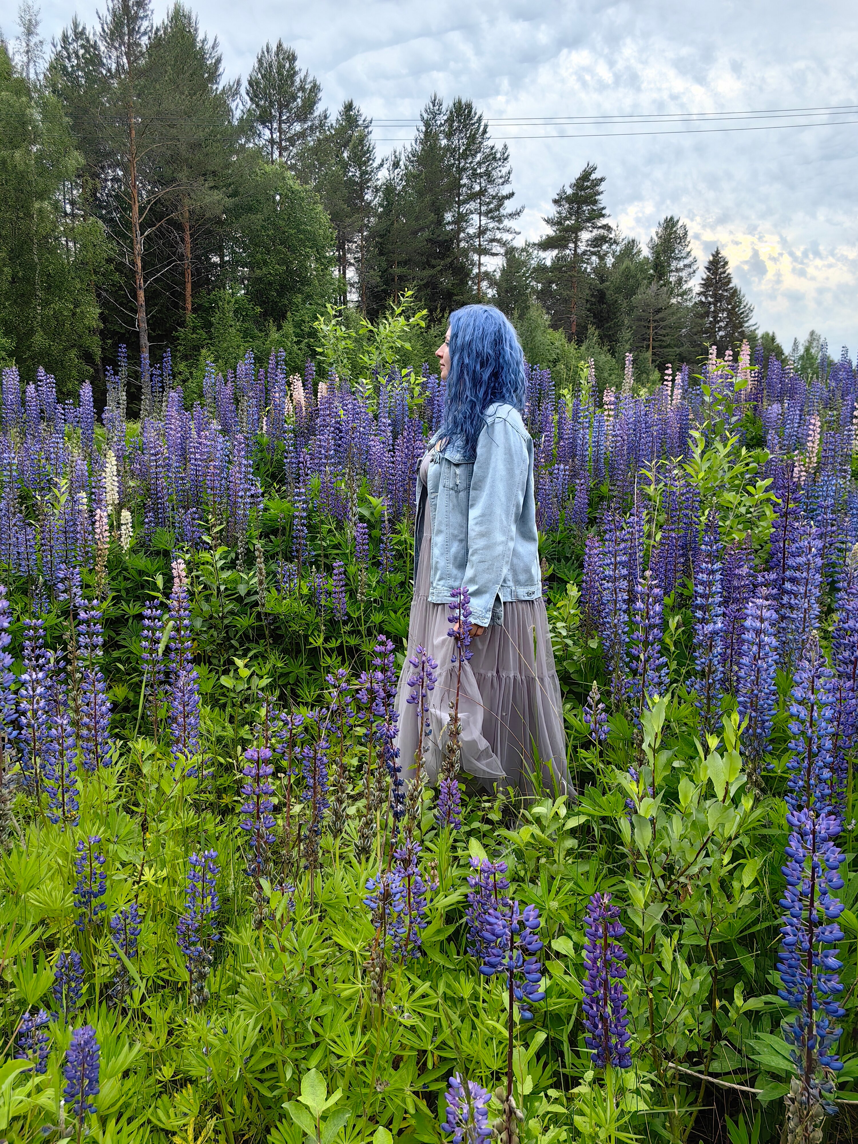 Фото Кохтусельга