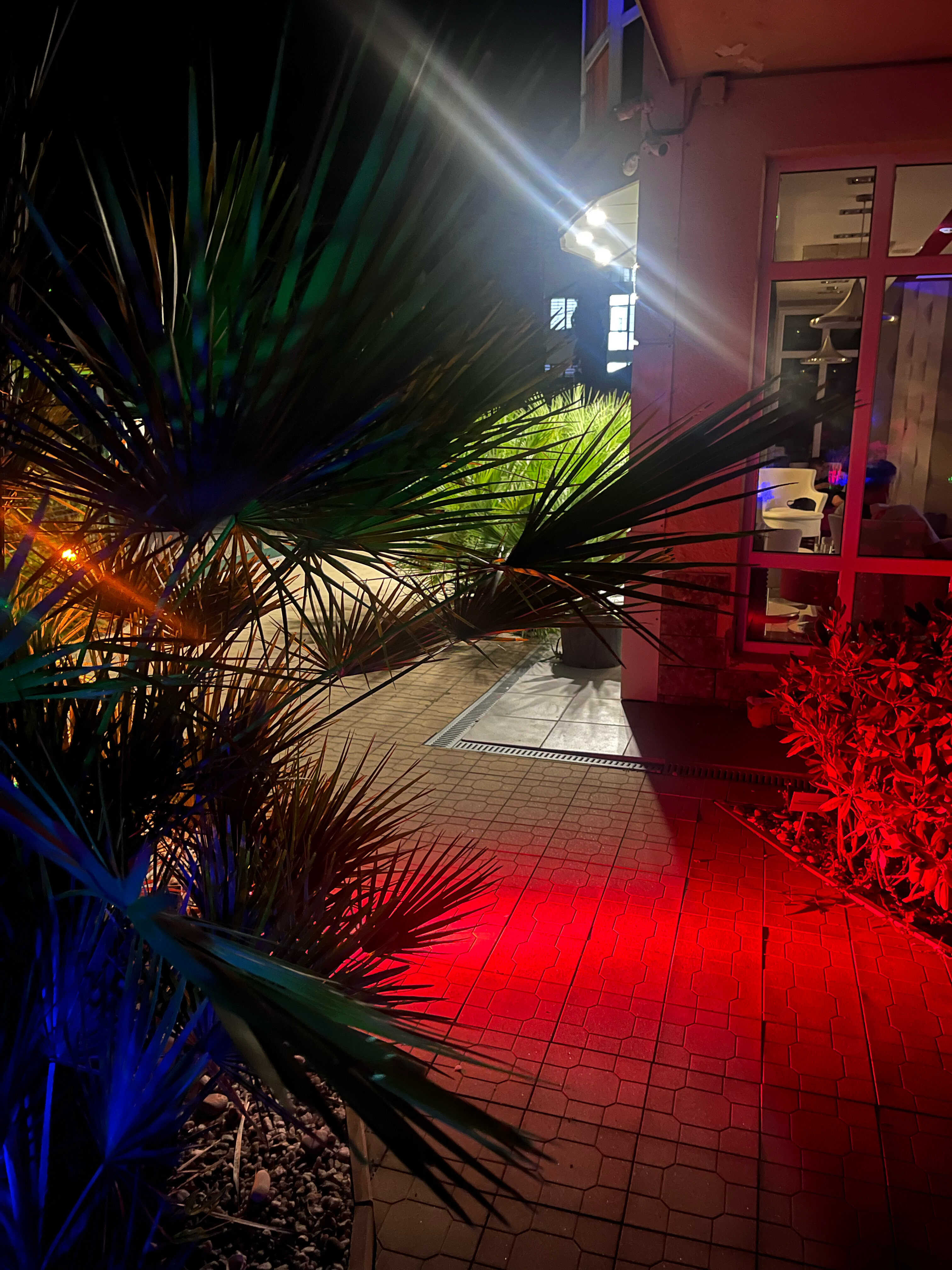 Фото Южный Парк