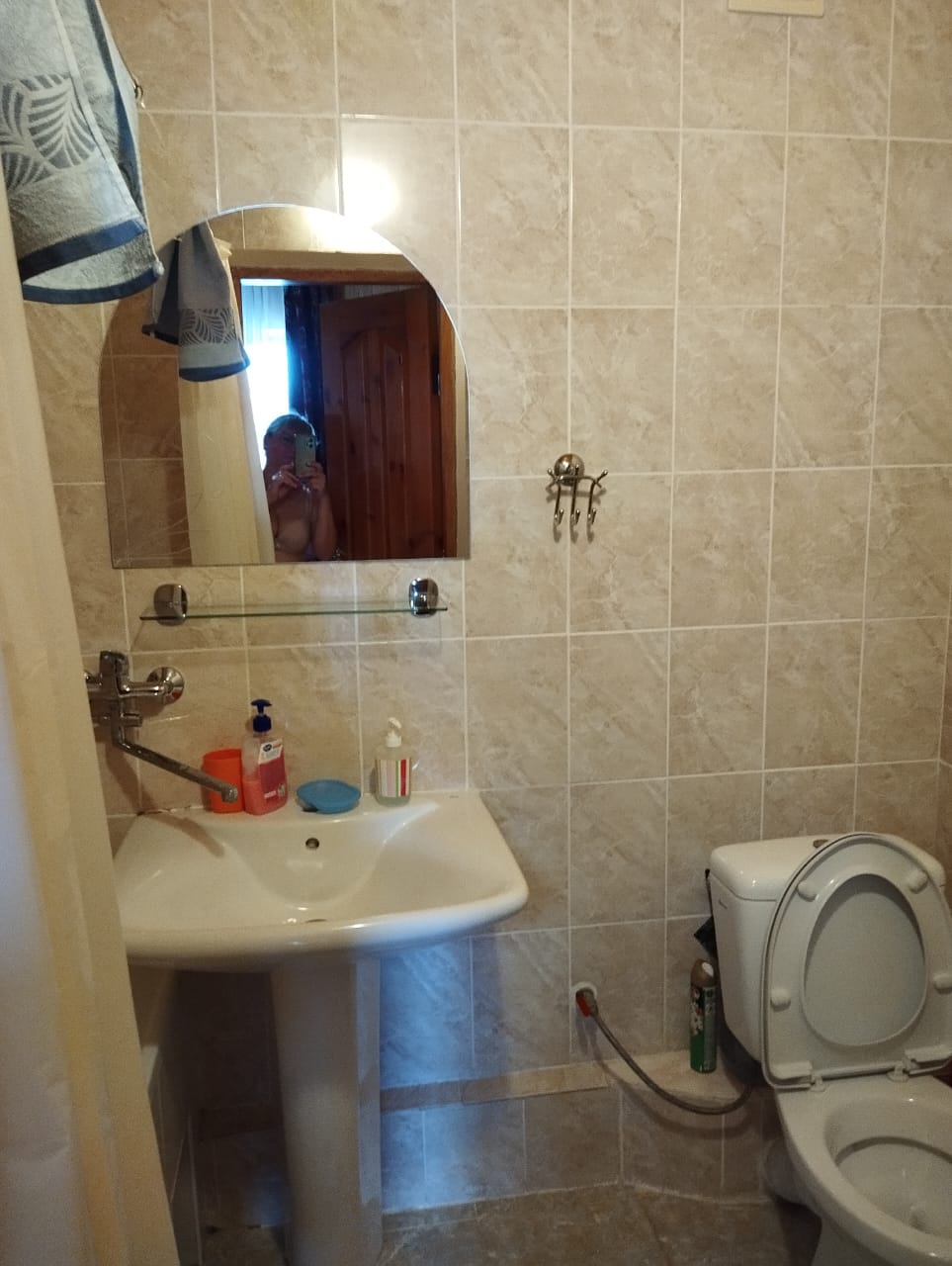 Фото Альбатрос