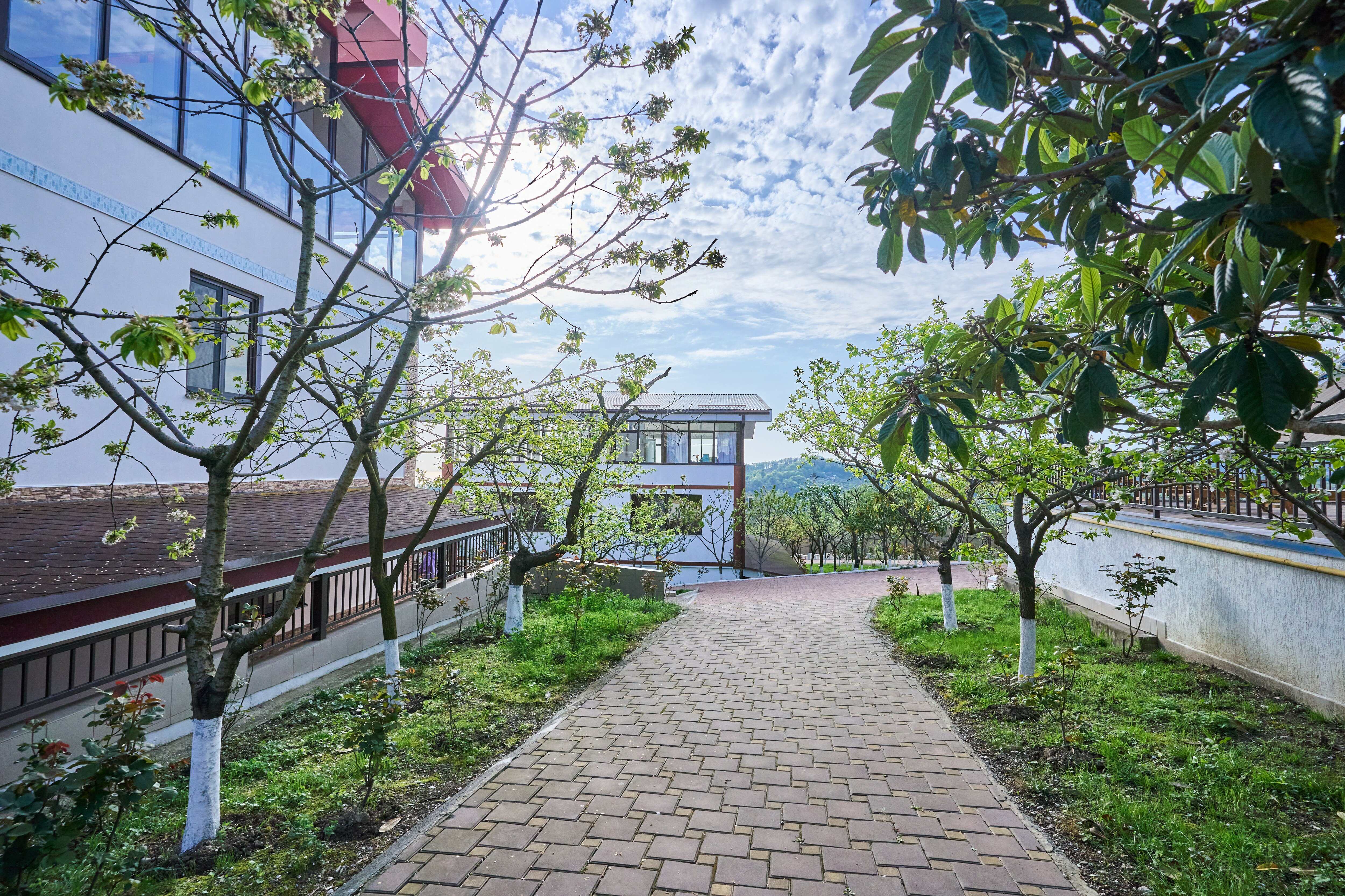 Фото Резиденция Лотос