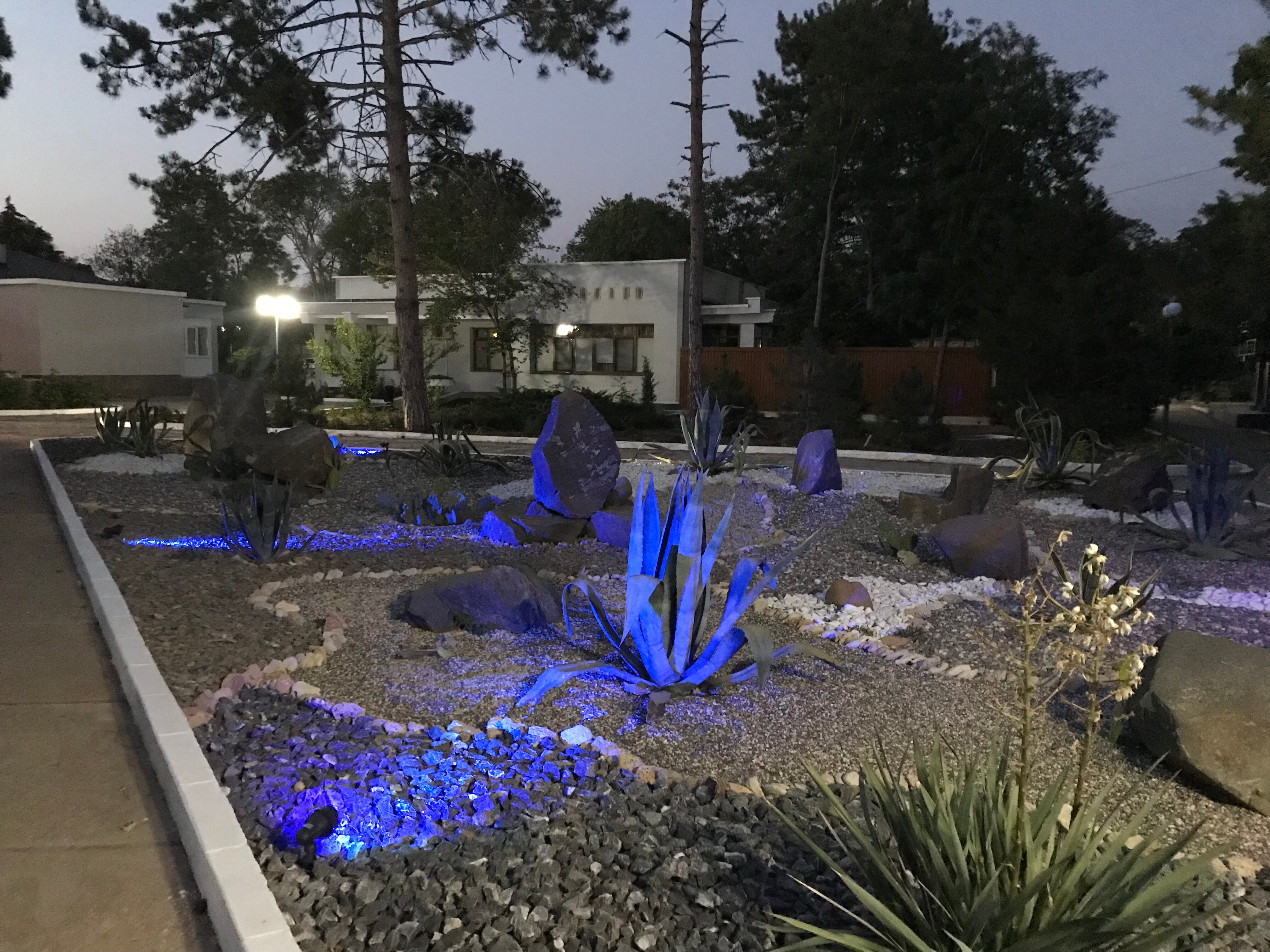 Фото Дружба