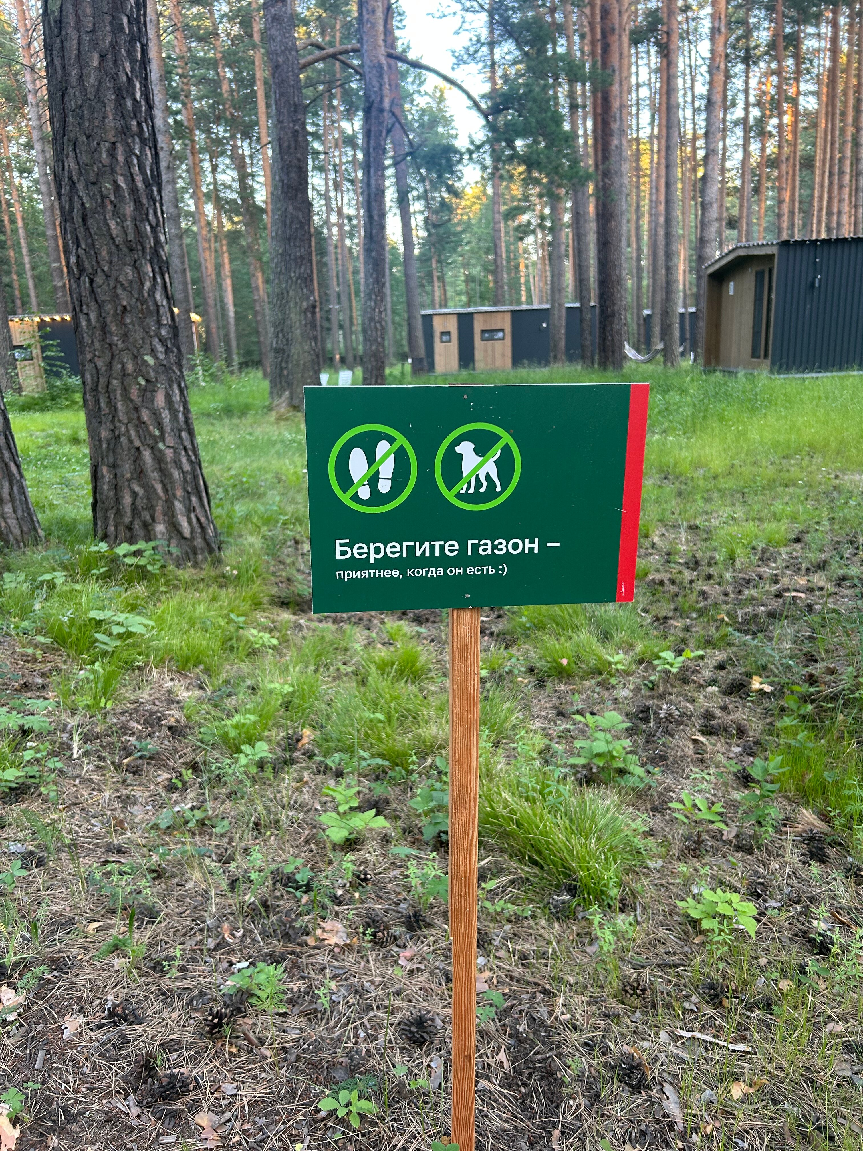 Фото Мишкины Шишки