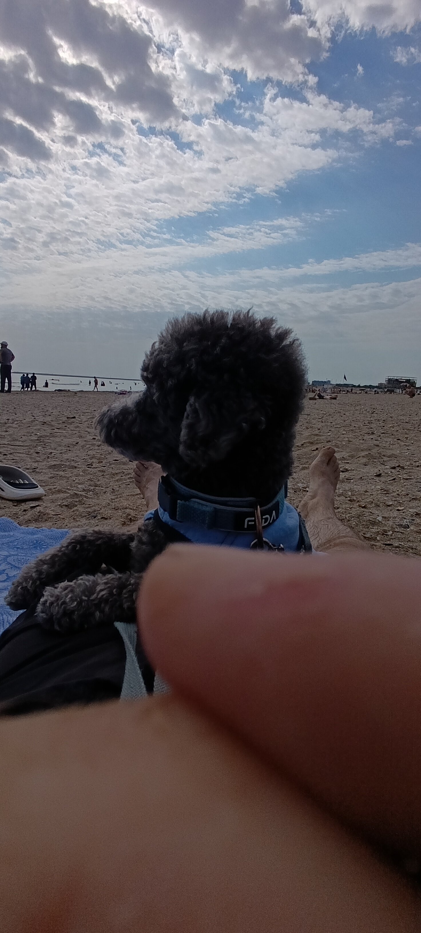 Фото Хоредж