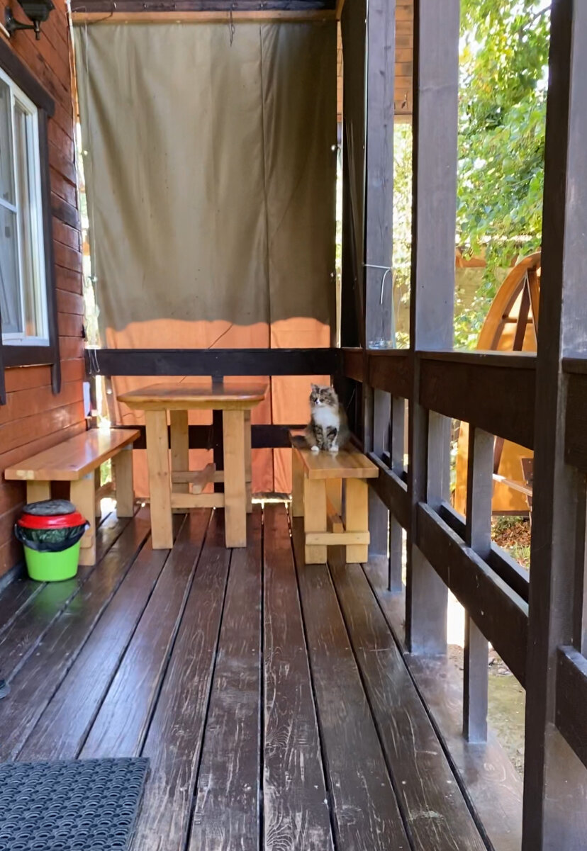 Фото Шале Дрозды