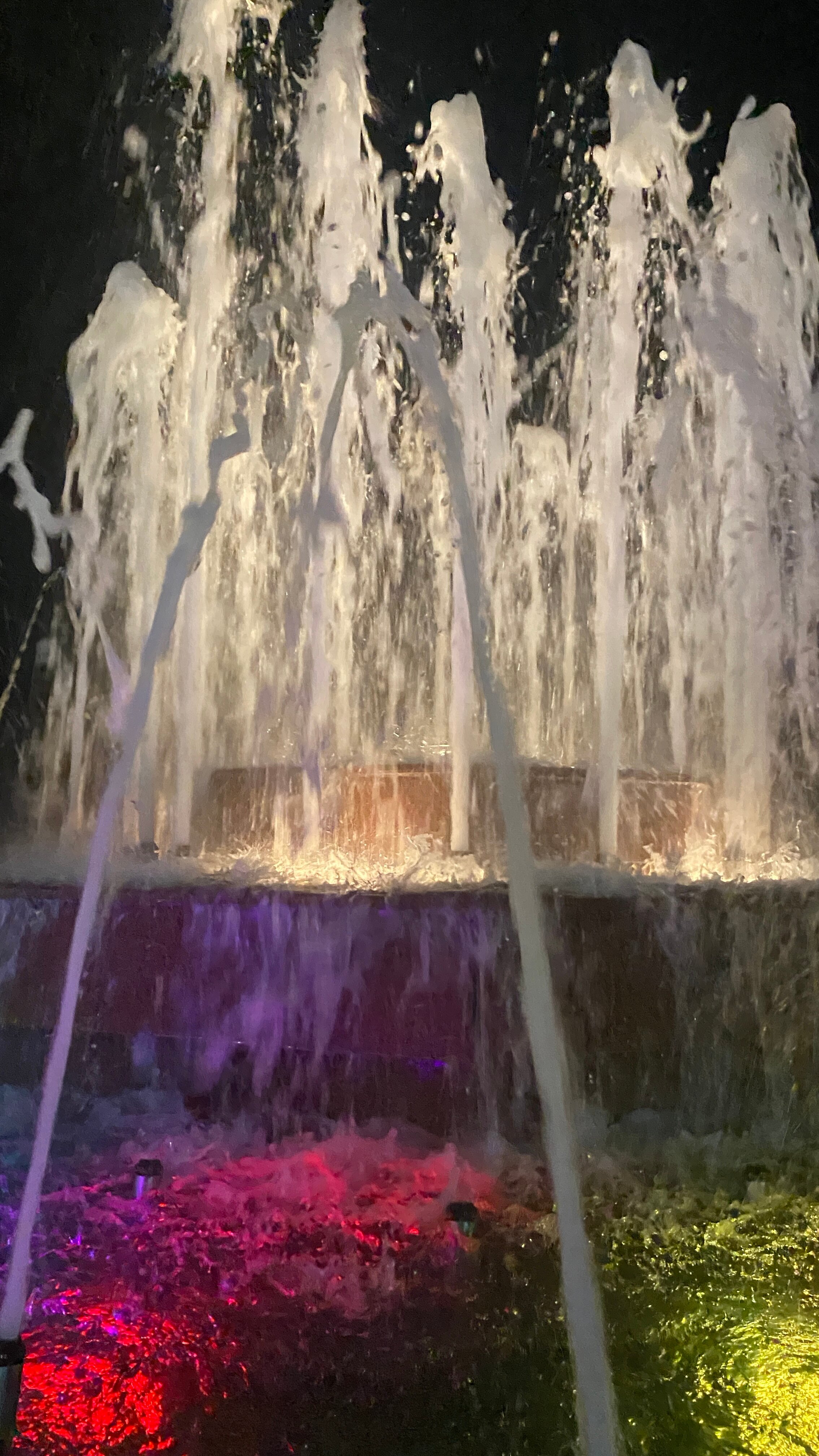 Фото Синдика