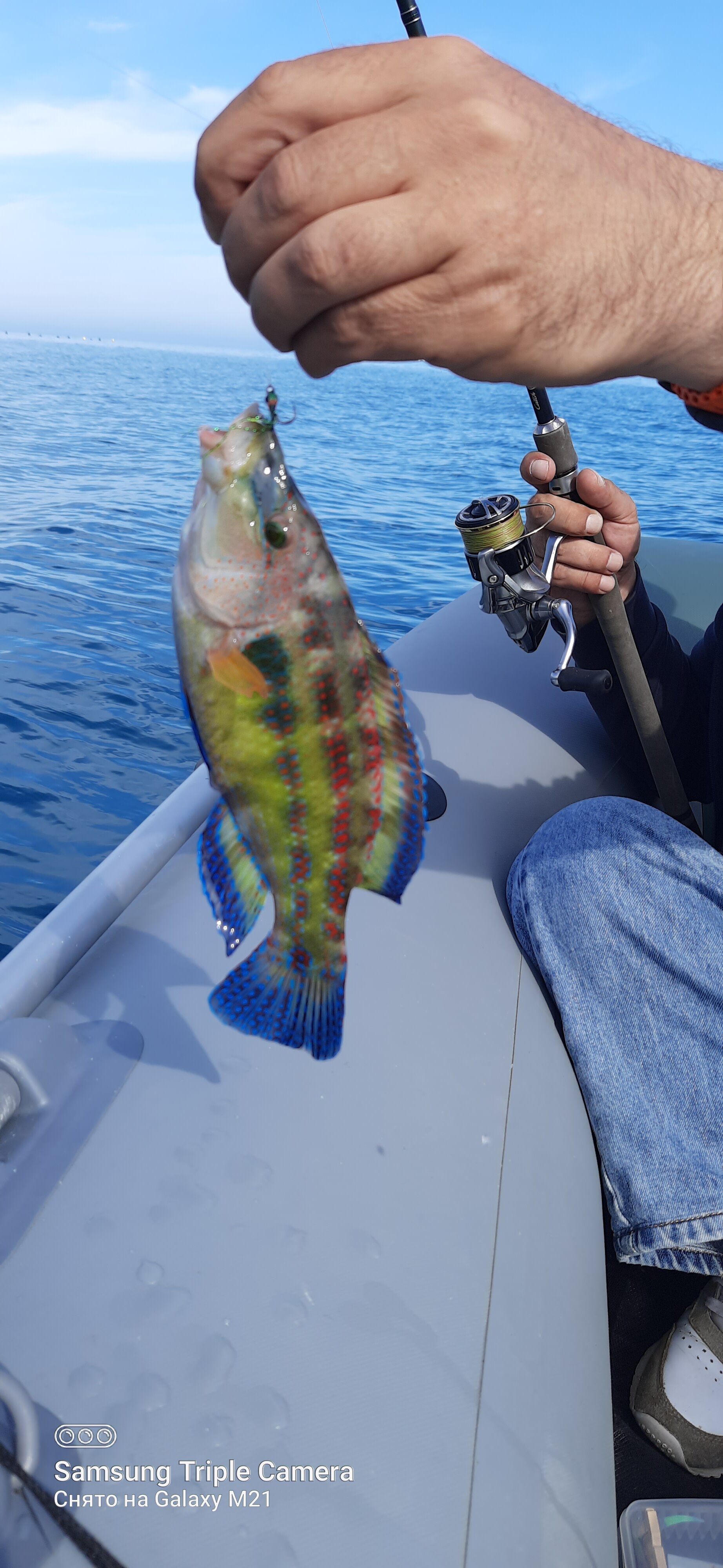 Фото Парк-Отель Родос