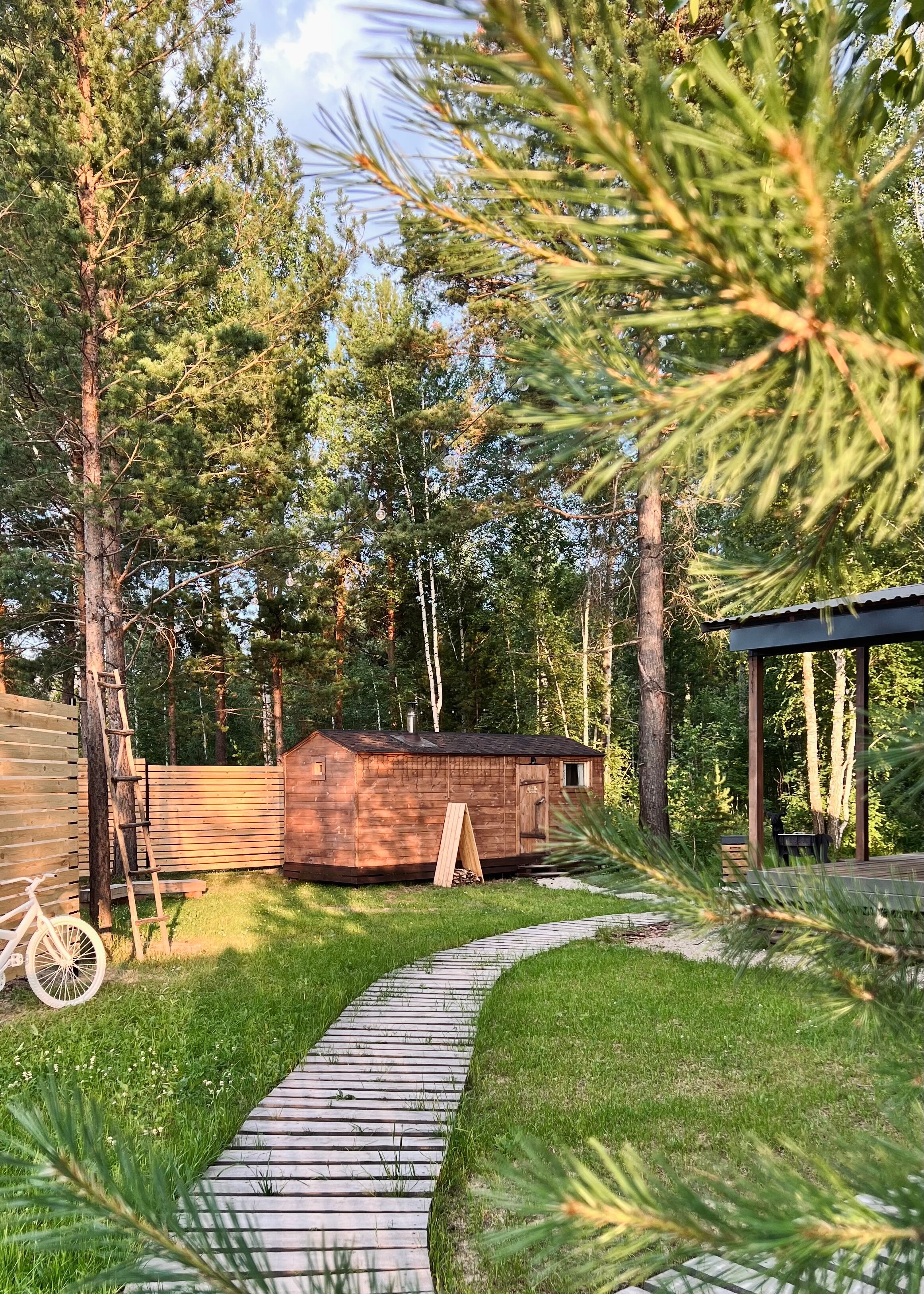 Фото Эхо леса