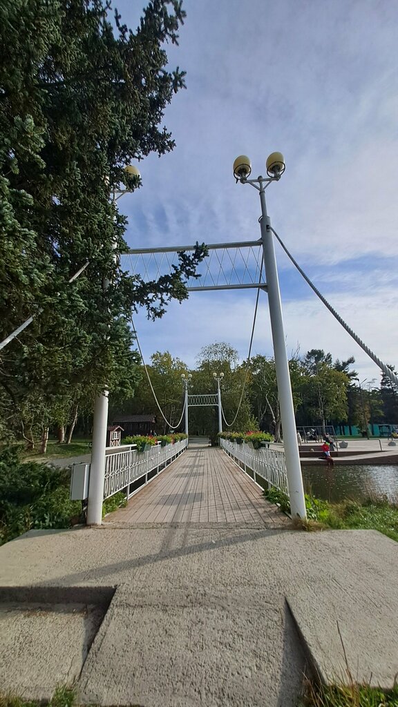 Landmark, attraction Cable-stayed Bridge, Yuzhno‑Sakhalinsk, photo