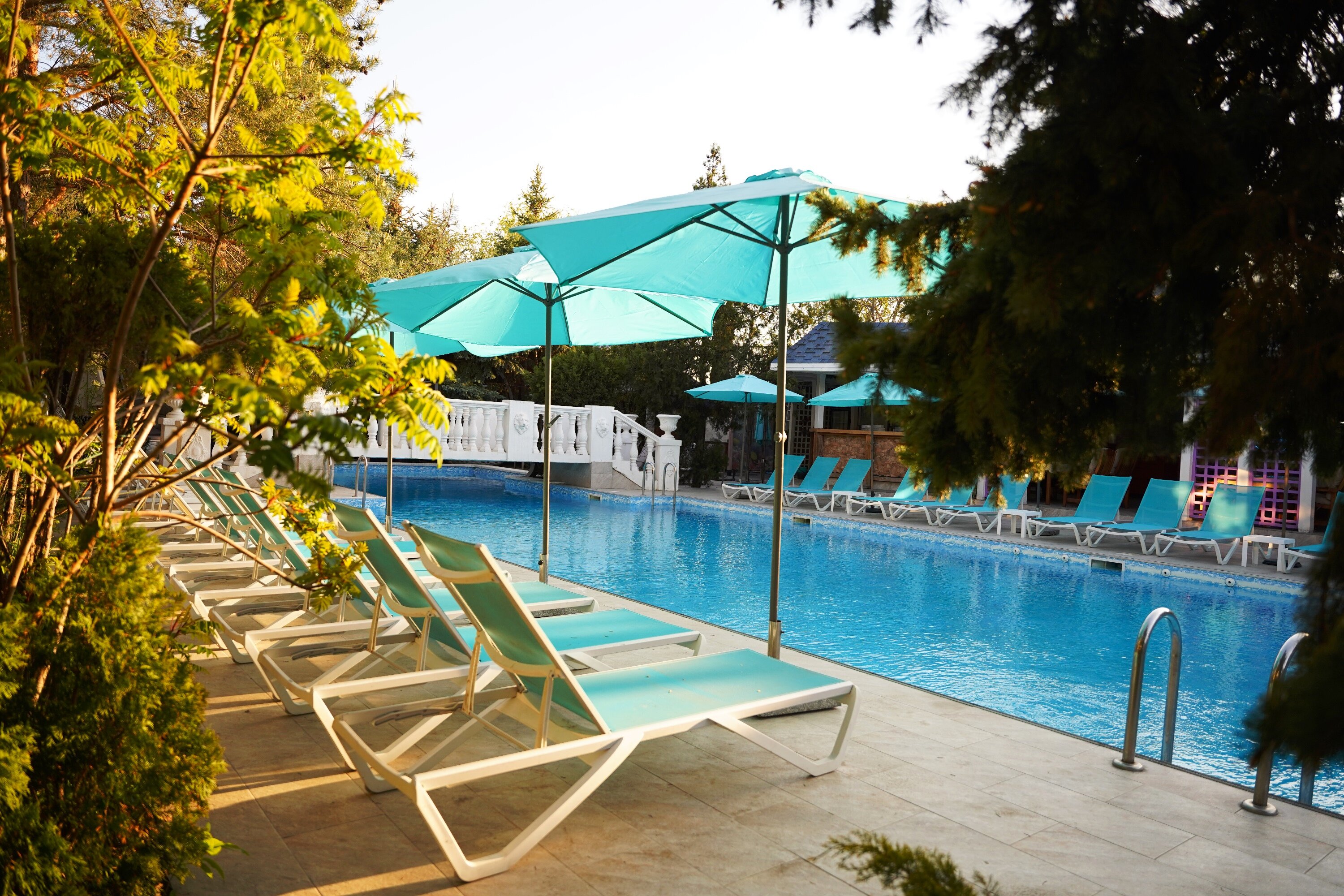 Фото Александр