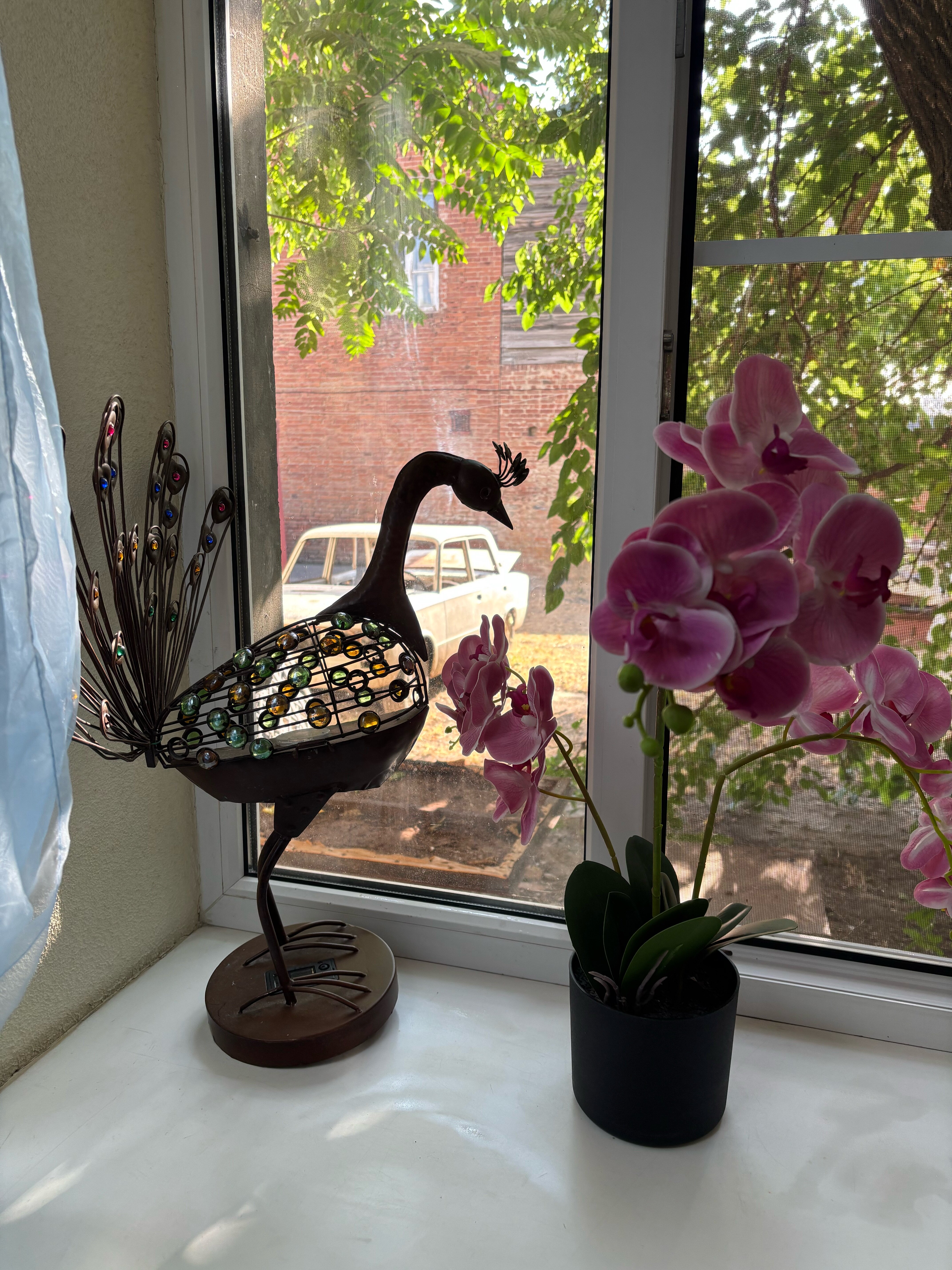 Фото Кубань Восток